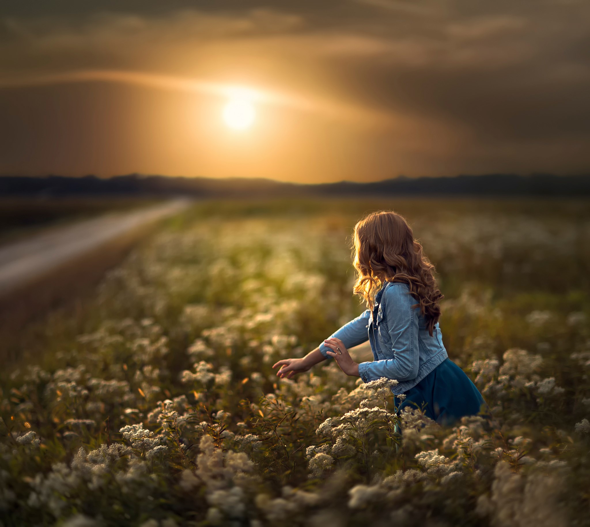 Woman in a field at sunset HD Wallpaper