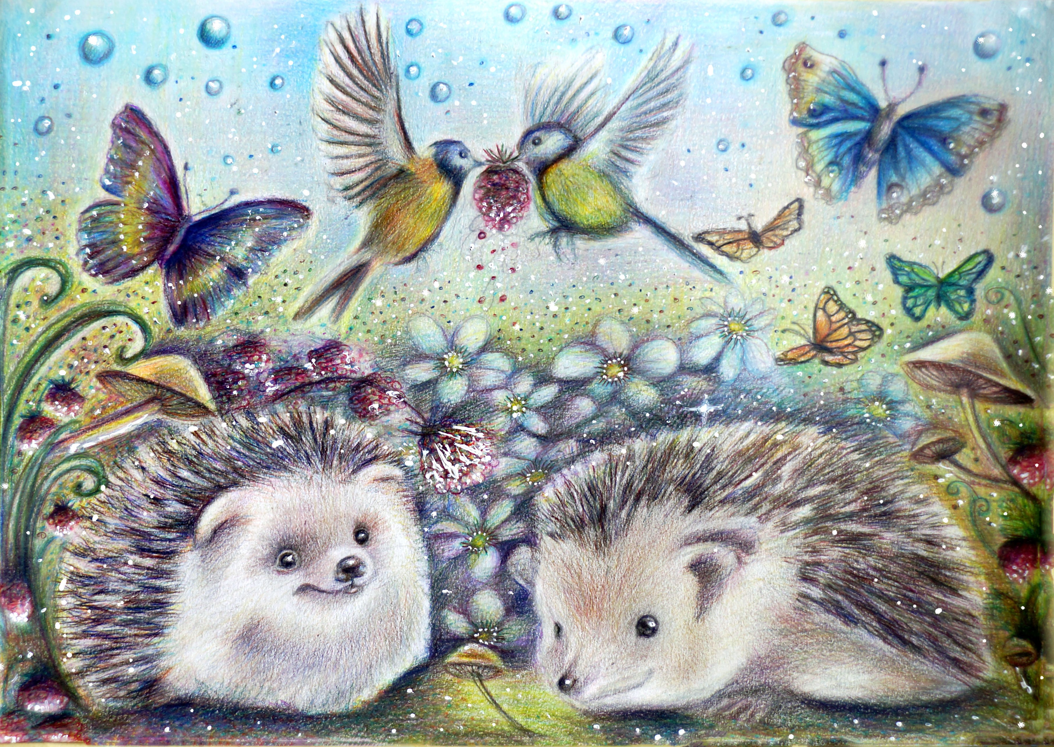 Two hedgehogs with birds and butterflies in a garden HD Wallpaper