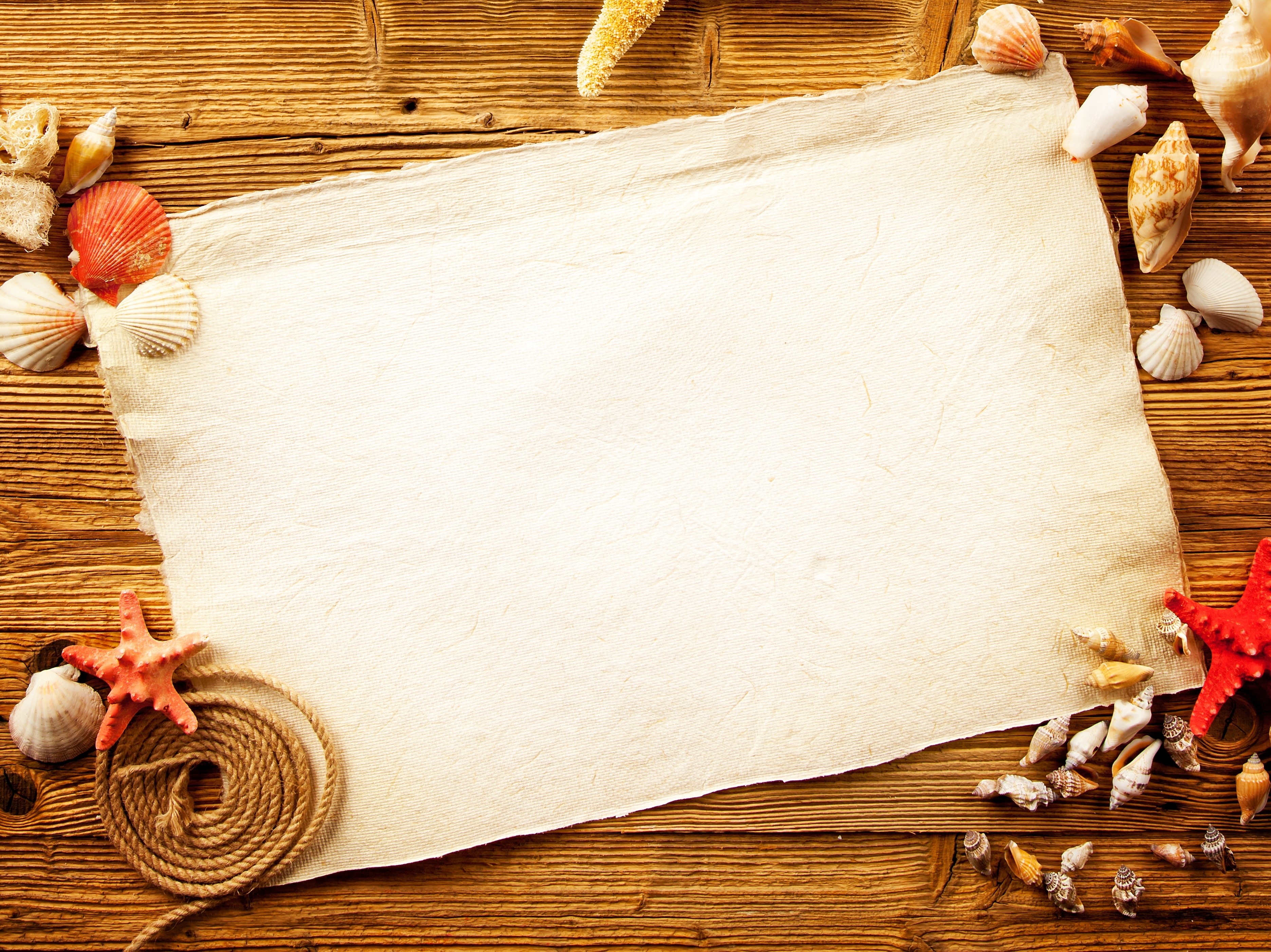 Seashells and starfish on a wooden background with parchment HD Wallpaper