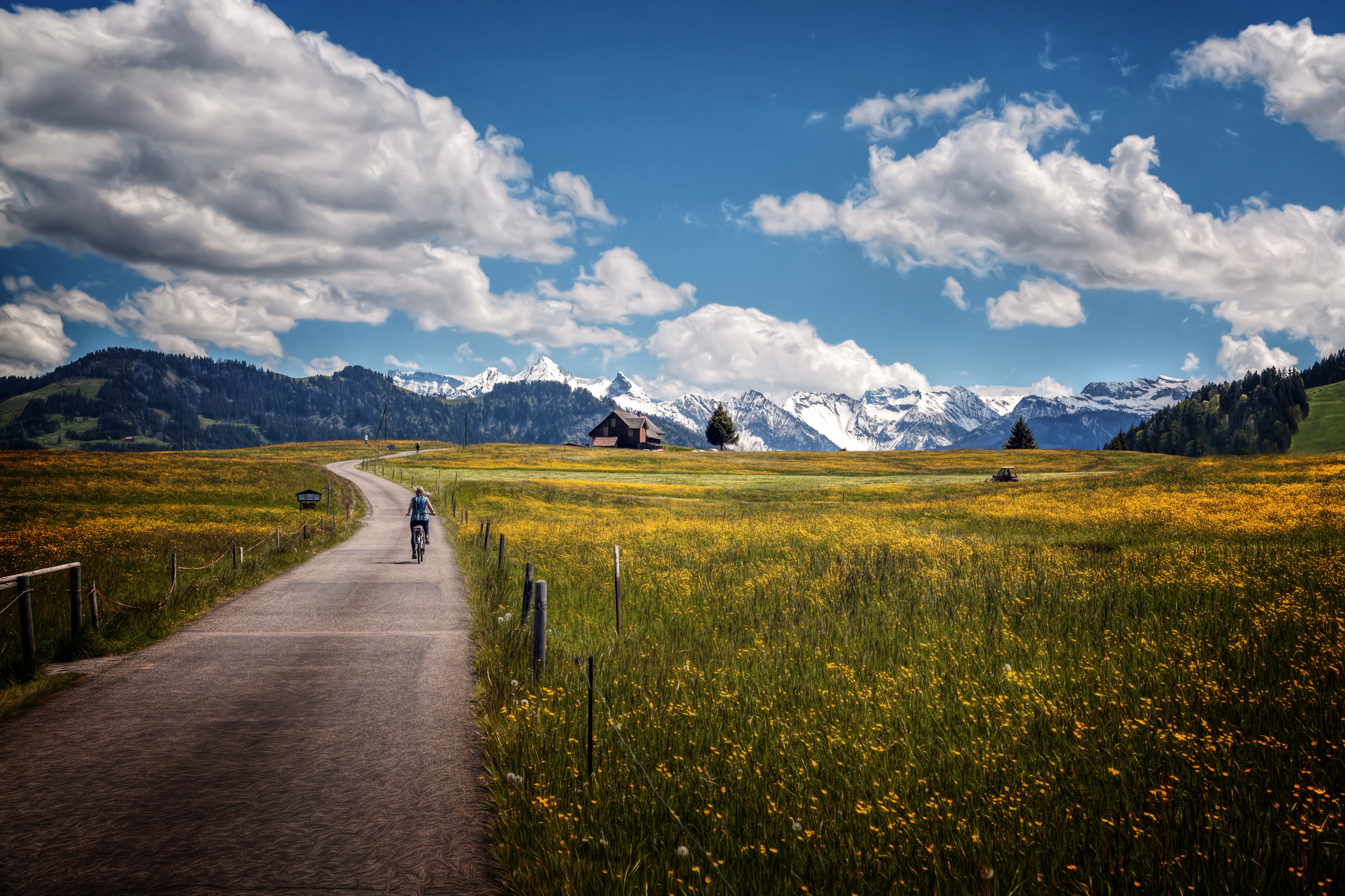 Road through fields to snow-capped mountains HD Wallpaper