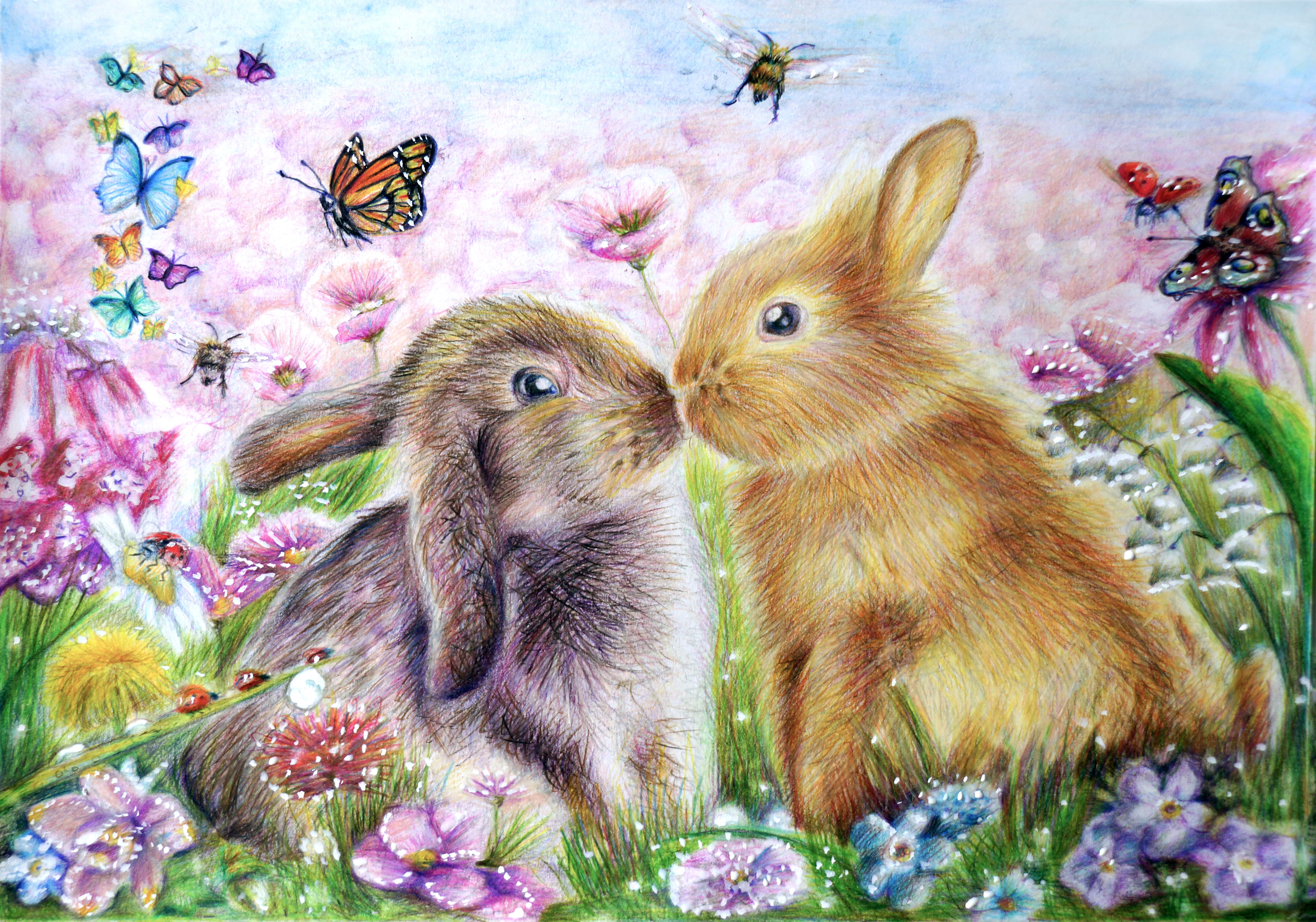 Two Hares in a Field with Butterflies and Flowers HD Wallpaper