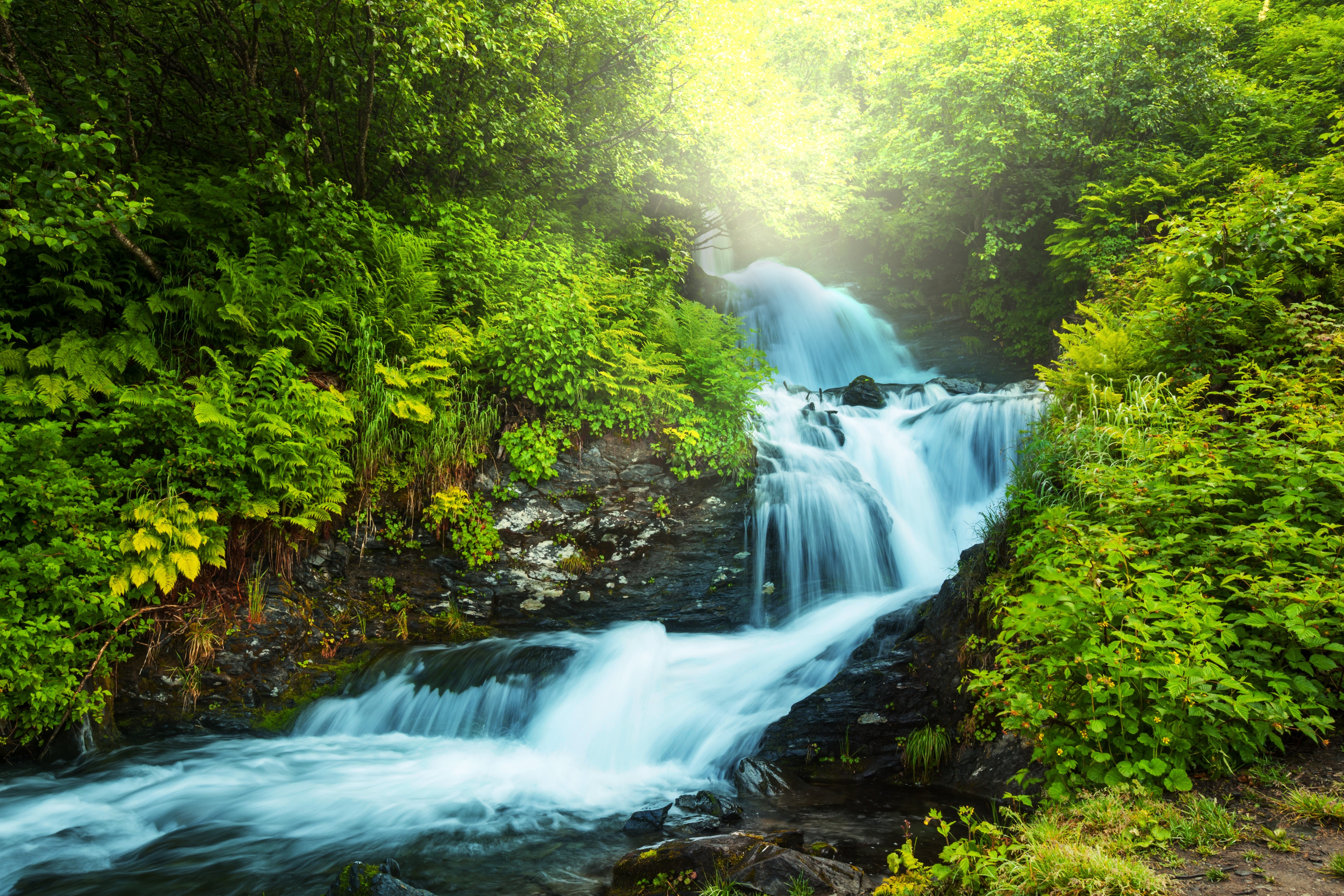 Waterfall in a lush green forest with sunlight HD Wallpaper