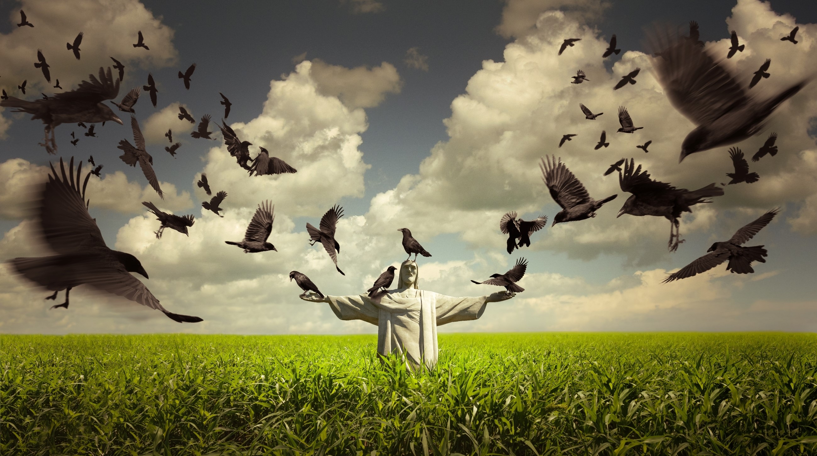Statue of Jesus Christ surrounded by crows in a field HD Wallpaper