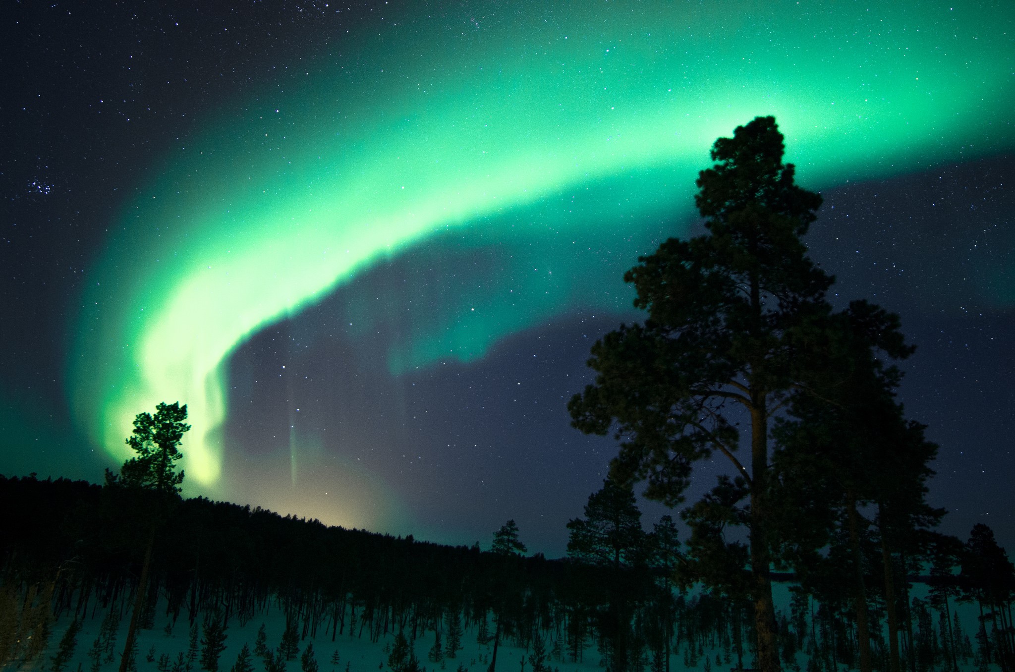 Aurora Borealis over a forest in Finland at night HD Wallpaper