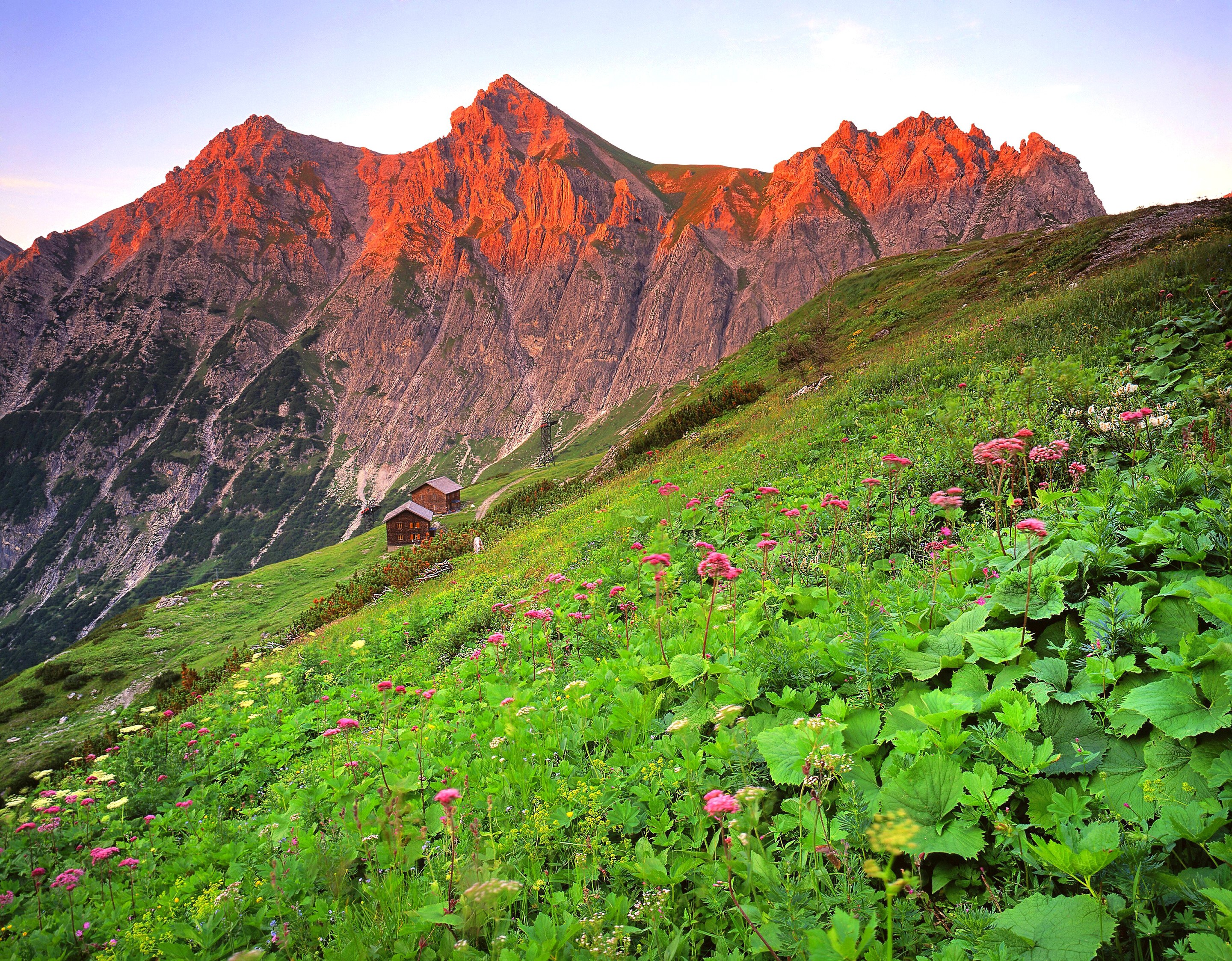 Mountain landscape with cabins and flowers in Austria HD Wallpaper