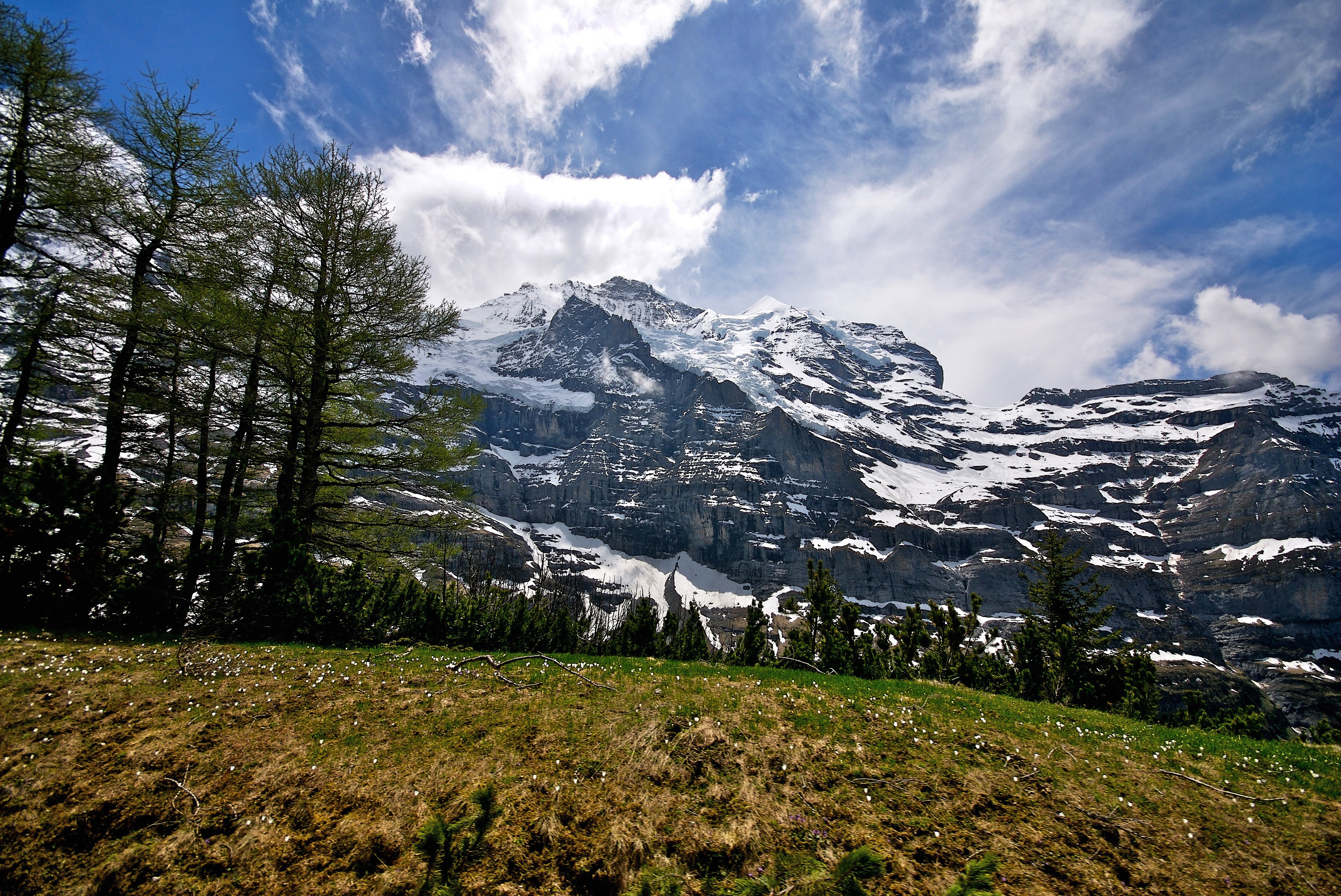 Snow-capped mountains and trees under a cloudy sky HD Wallpaper