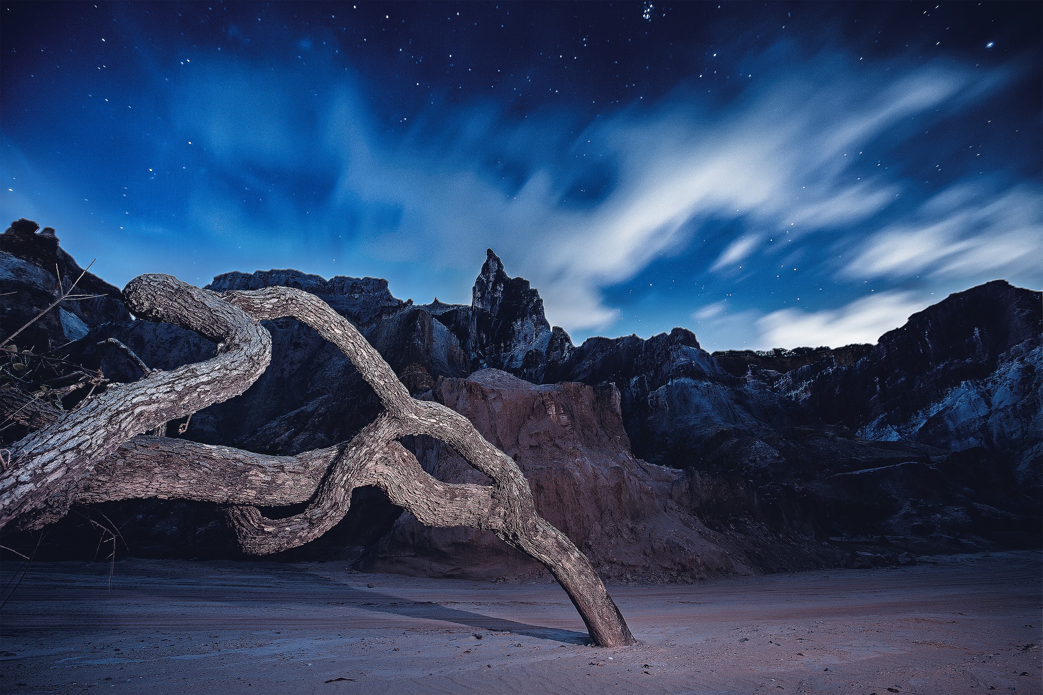 Twisted tree on a beach under a starry night sky in Brazil HD Wallpaper