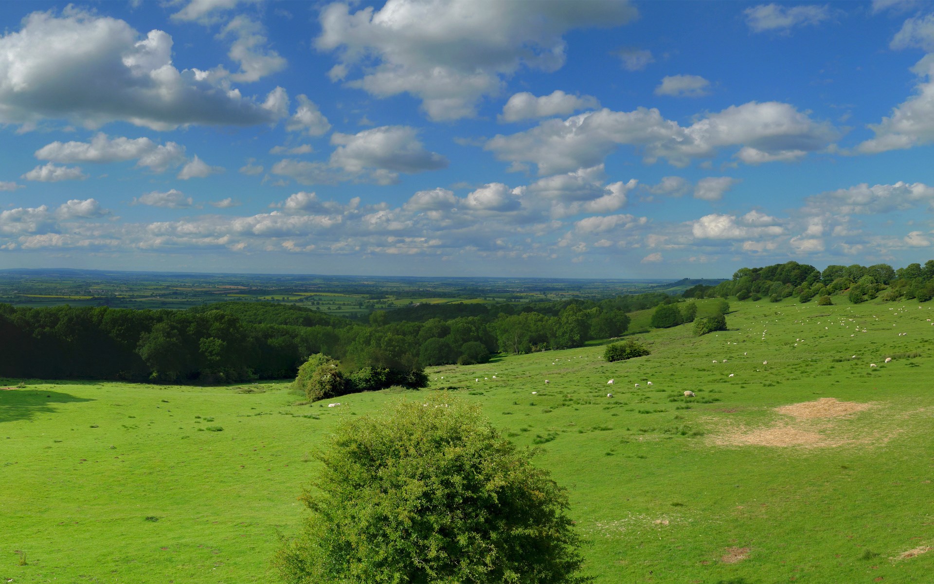 Rolling green hills under a cloudy blue sky HD Wallpaper