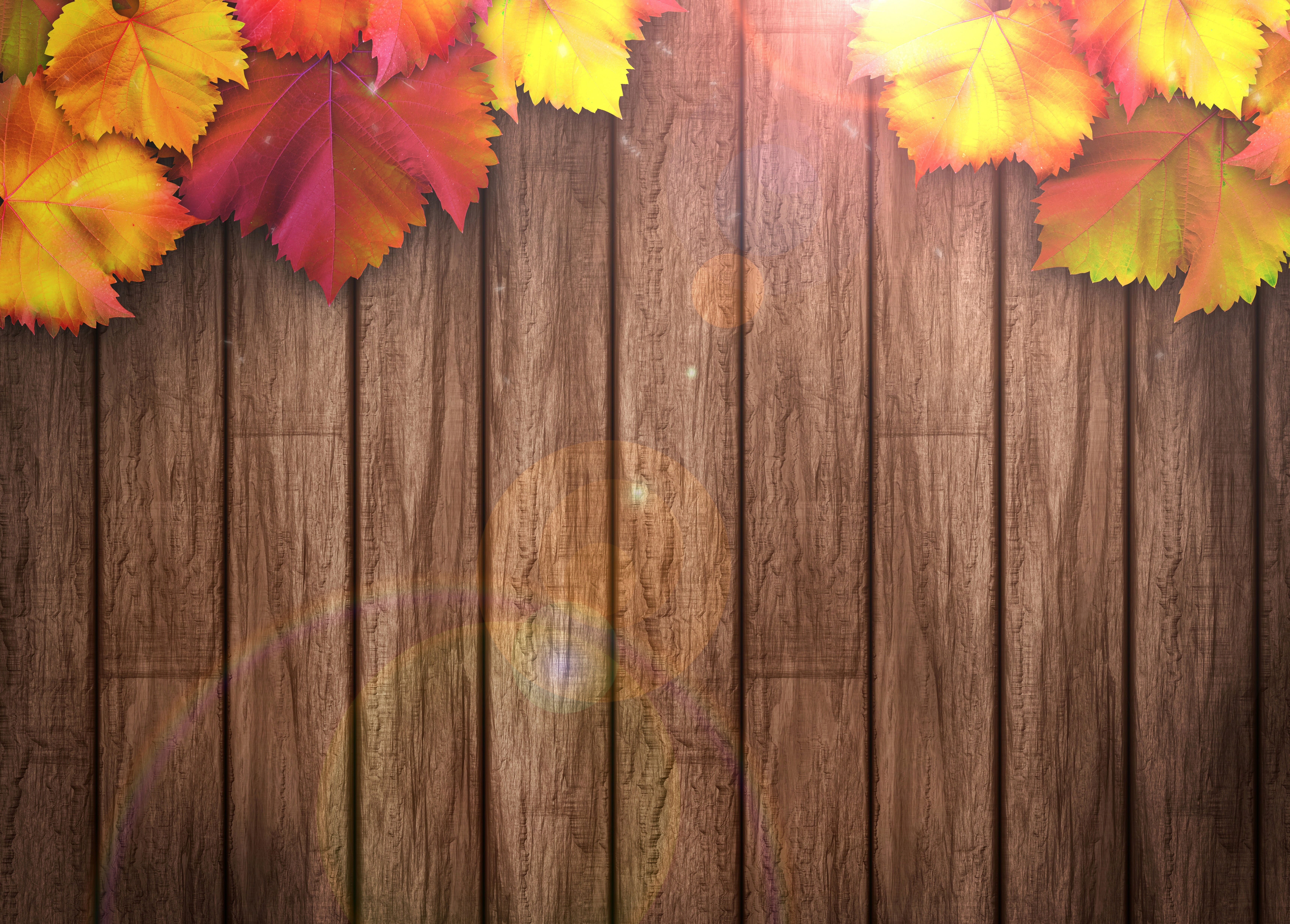 Autumn leaves on wooden planks HD Wallpaper