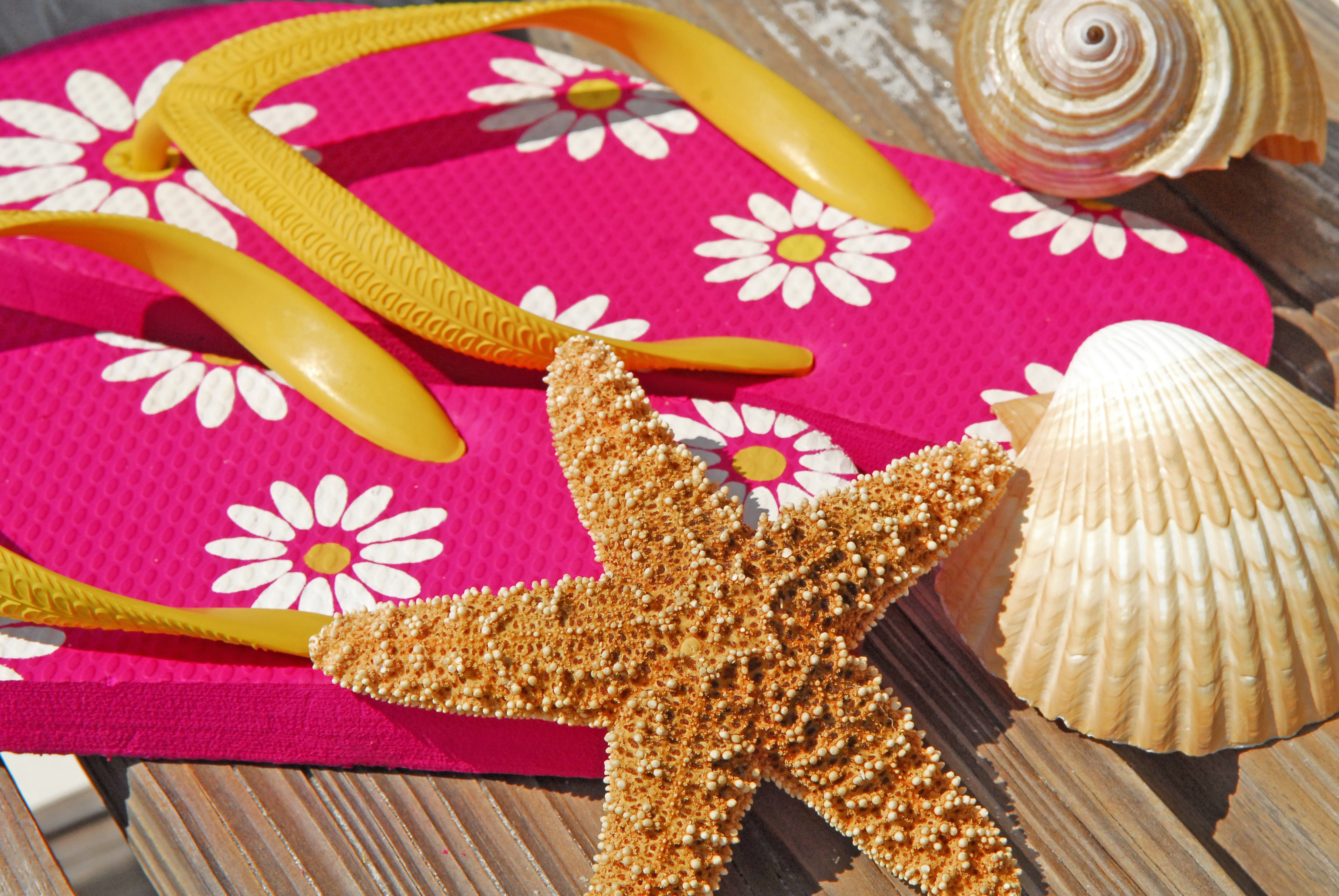 Summer flip-flops with starfish and seashells HD Wallpaper
