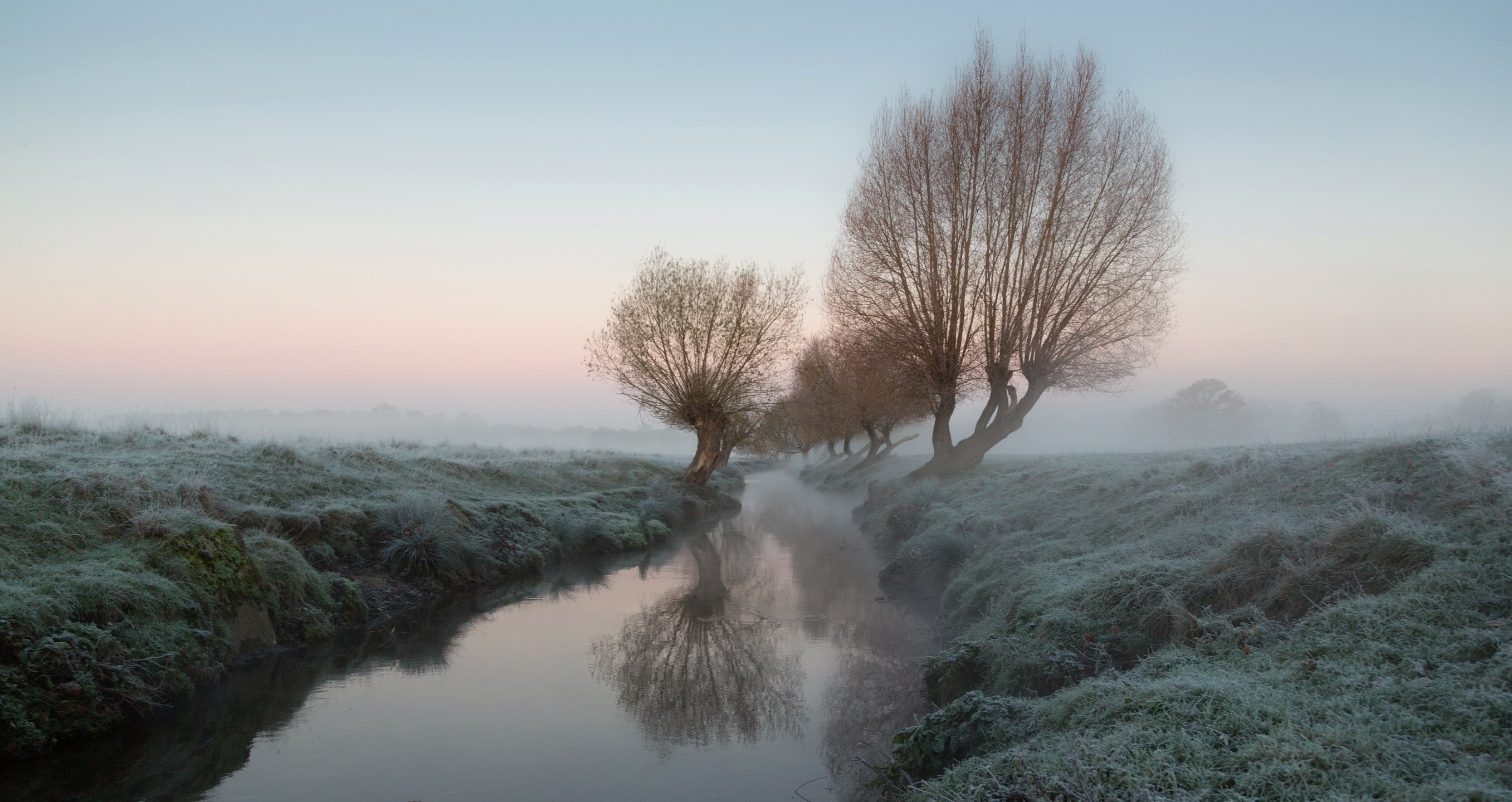Winter mist over a river lined with trees HD Wallpaper
