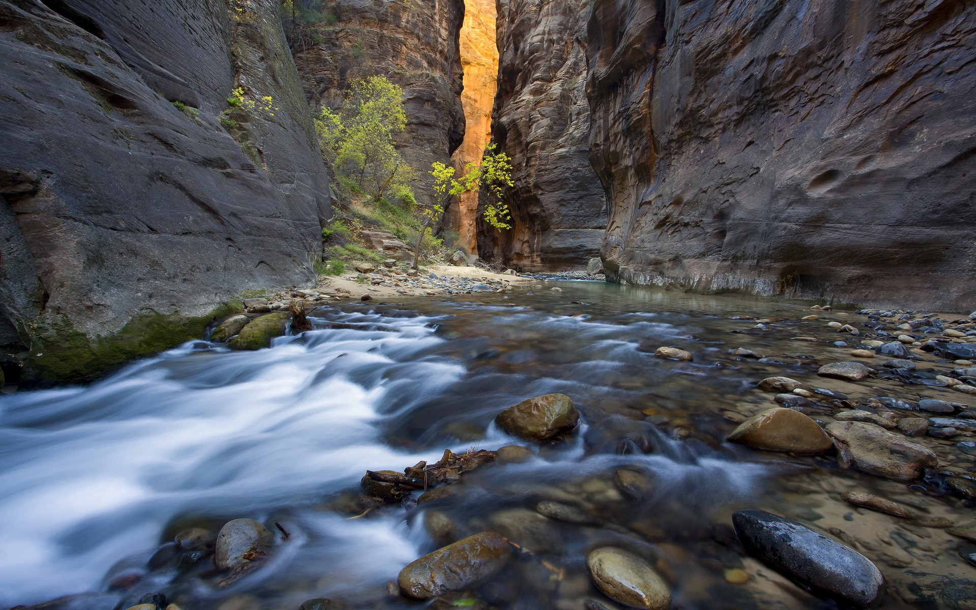 River flowing through a narrow canyon with steep rock walls HD Wallpaper