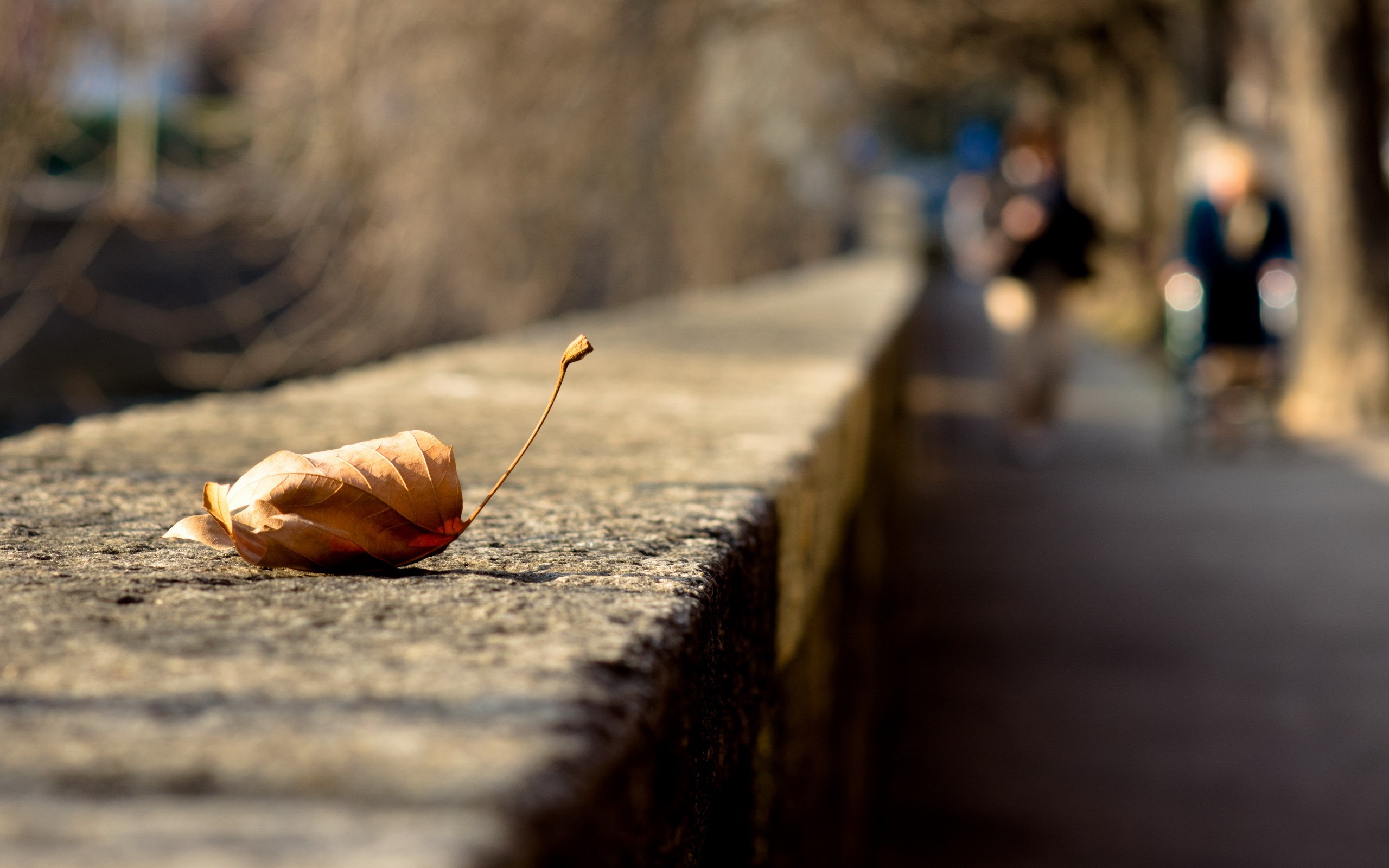 Autumn leaf on a stone wall with blurred people walking HD Wallpaper