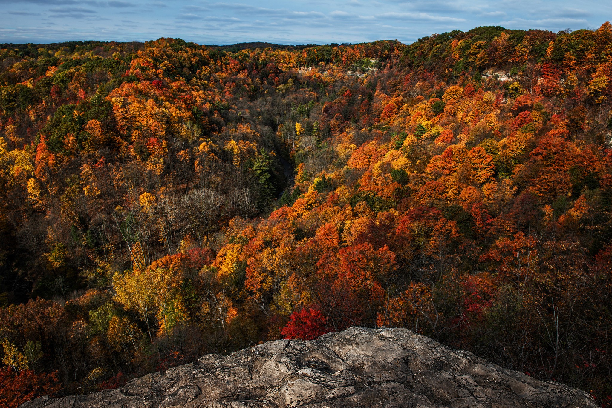 Autumn forest canopy from a rocky overlook HD Wallpaper