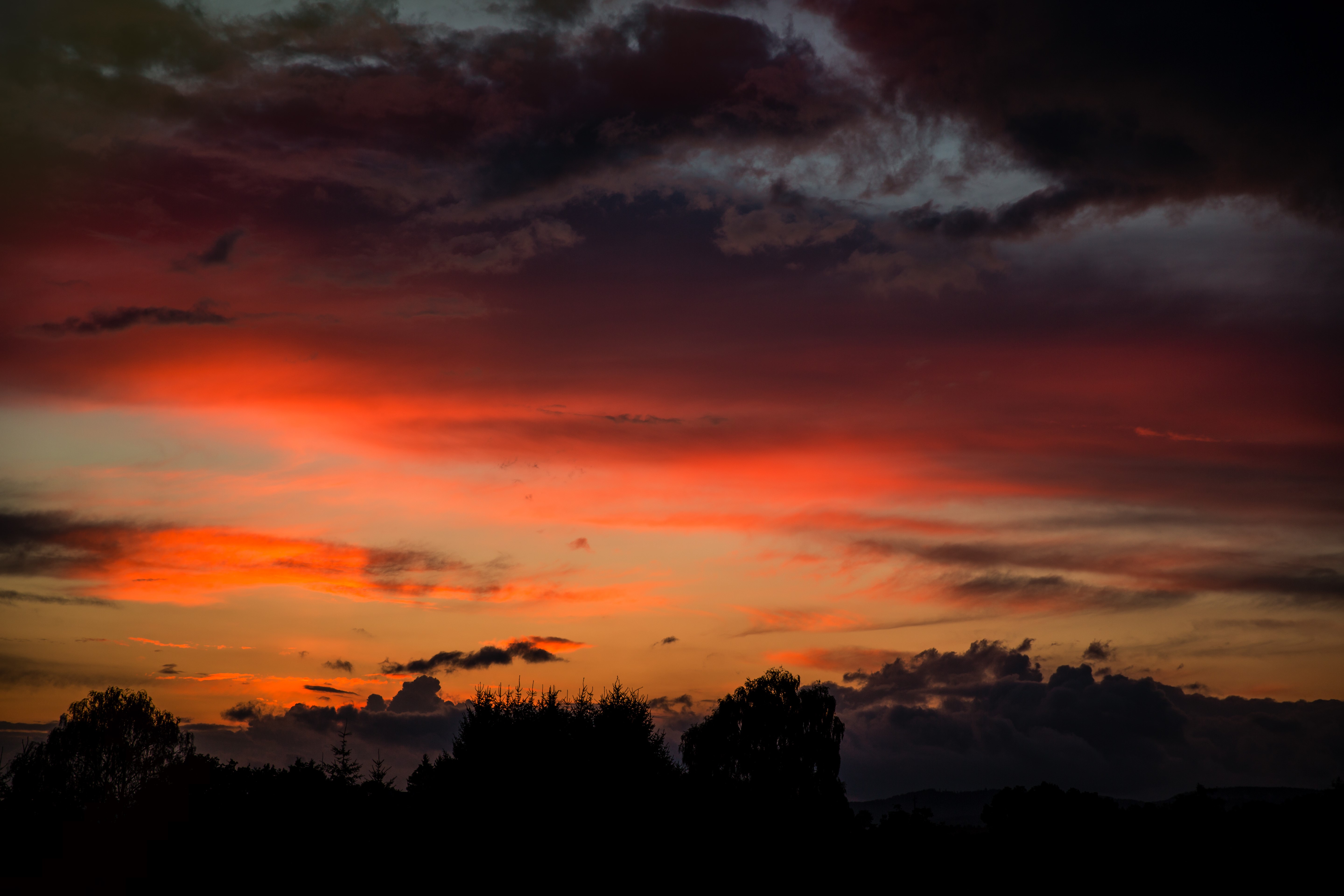 Sunset with dramatic clouds over silhouetted trees HD Wallpaper