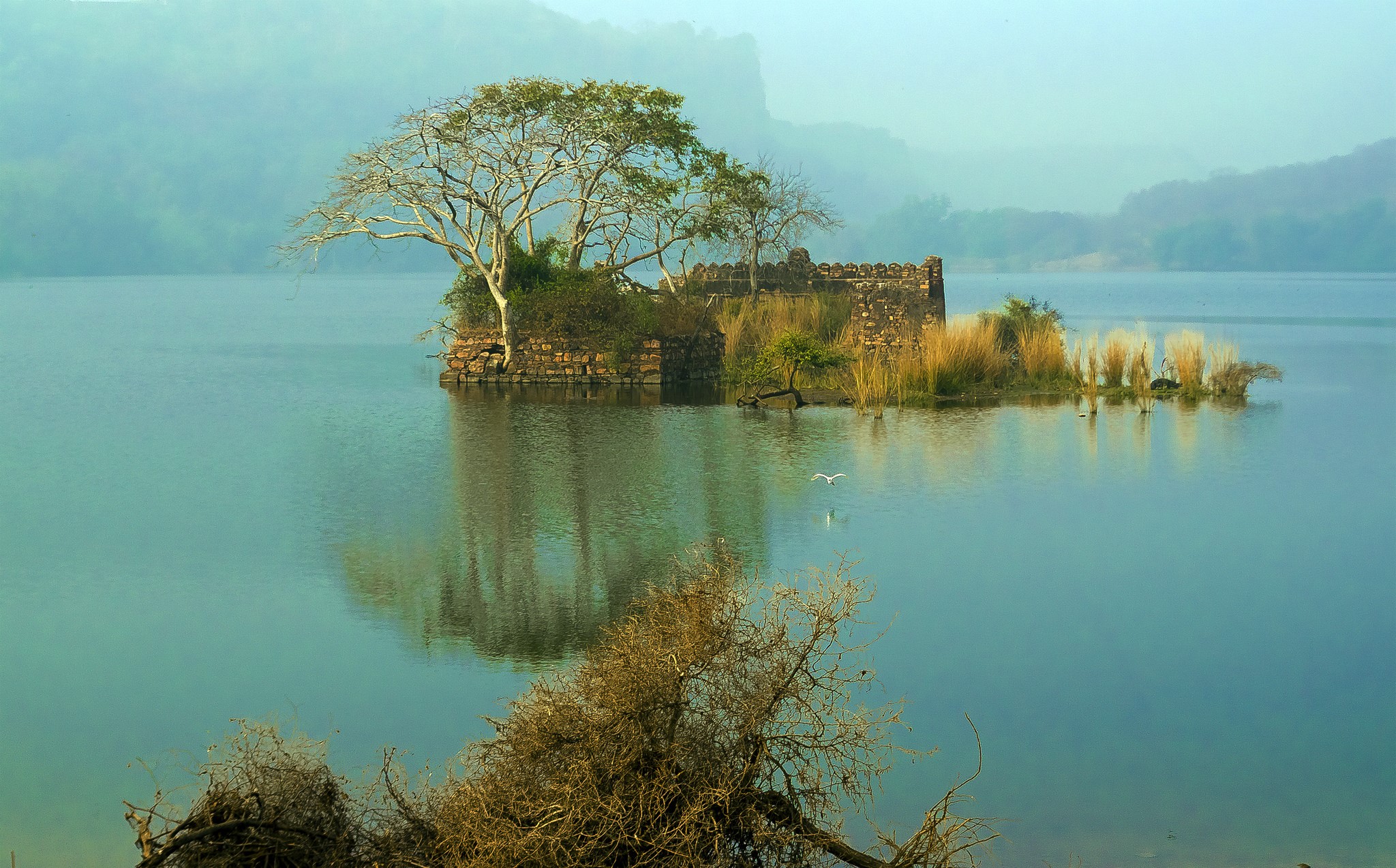 Island ruins in a misty lake with trees HD Wallpaper