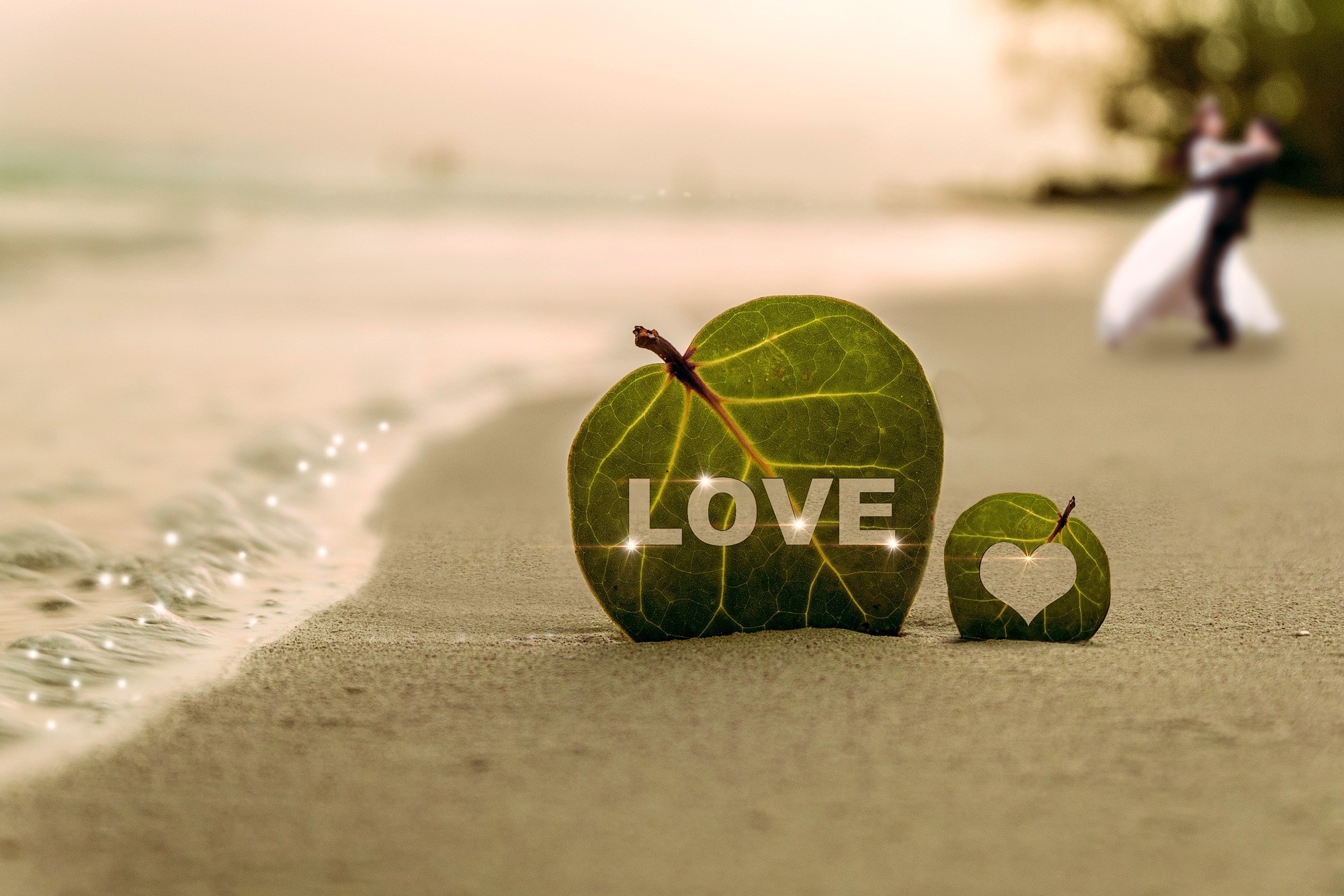 Love leaves on a beach with a couple dancing HD Wallpaper