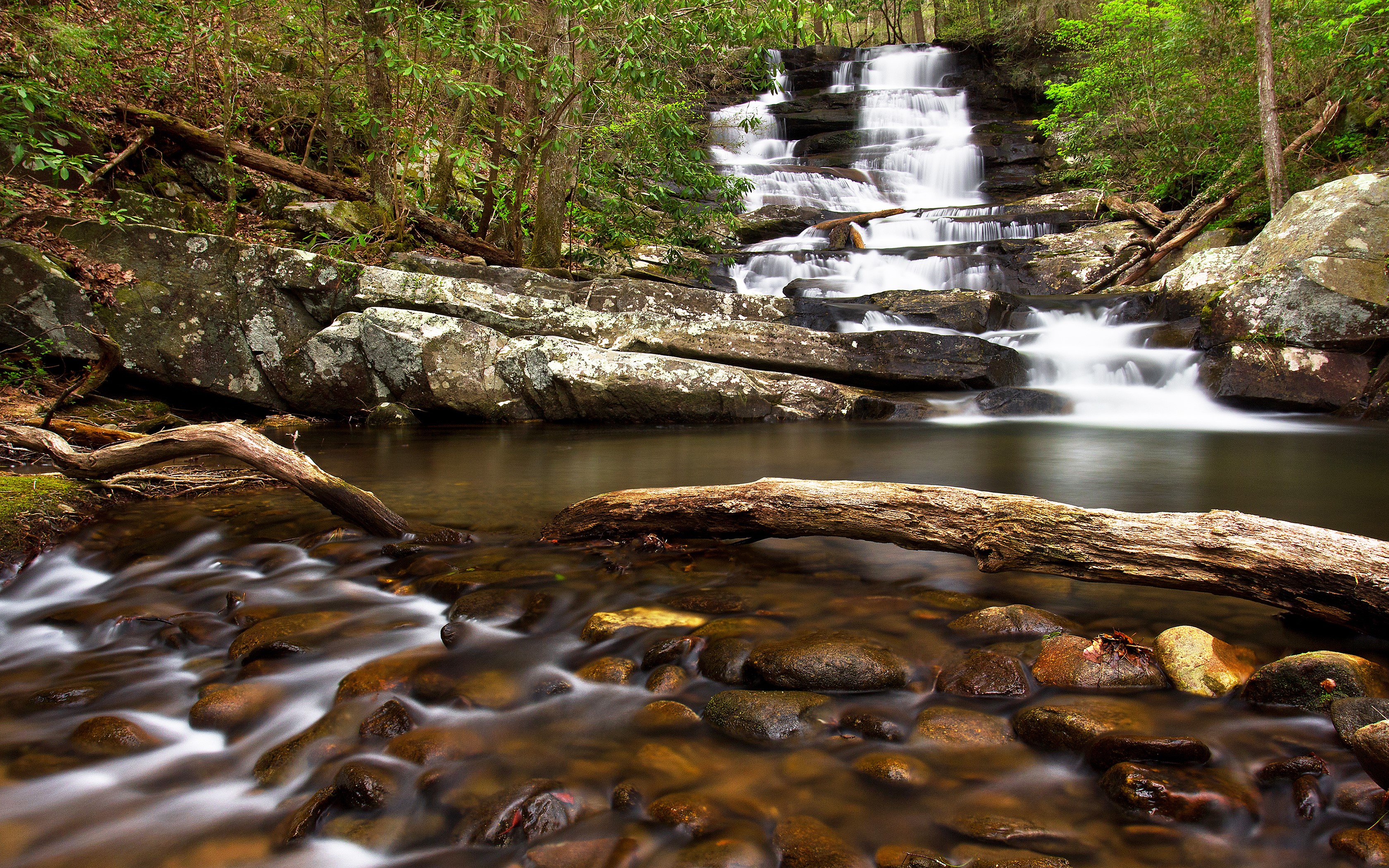 Waterfall on Emery Creek Trail, Chatsworth, Georgia HD Wallpaper