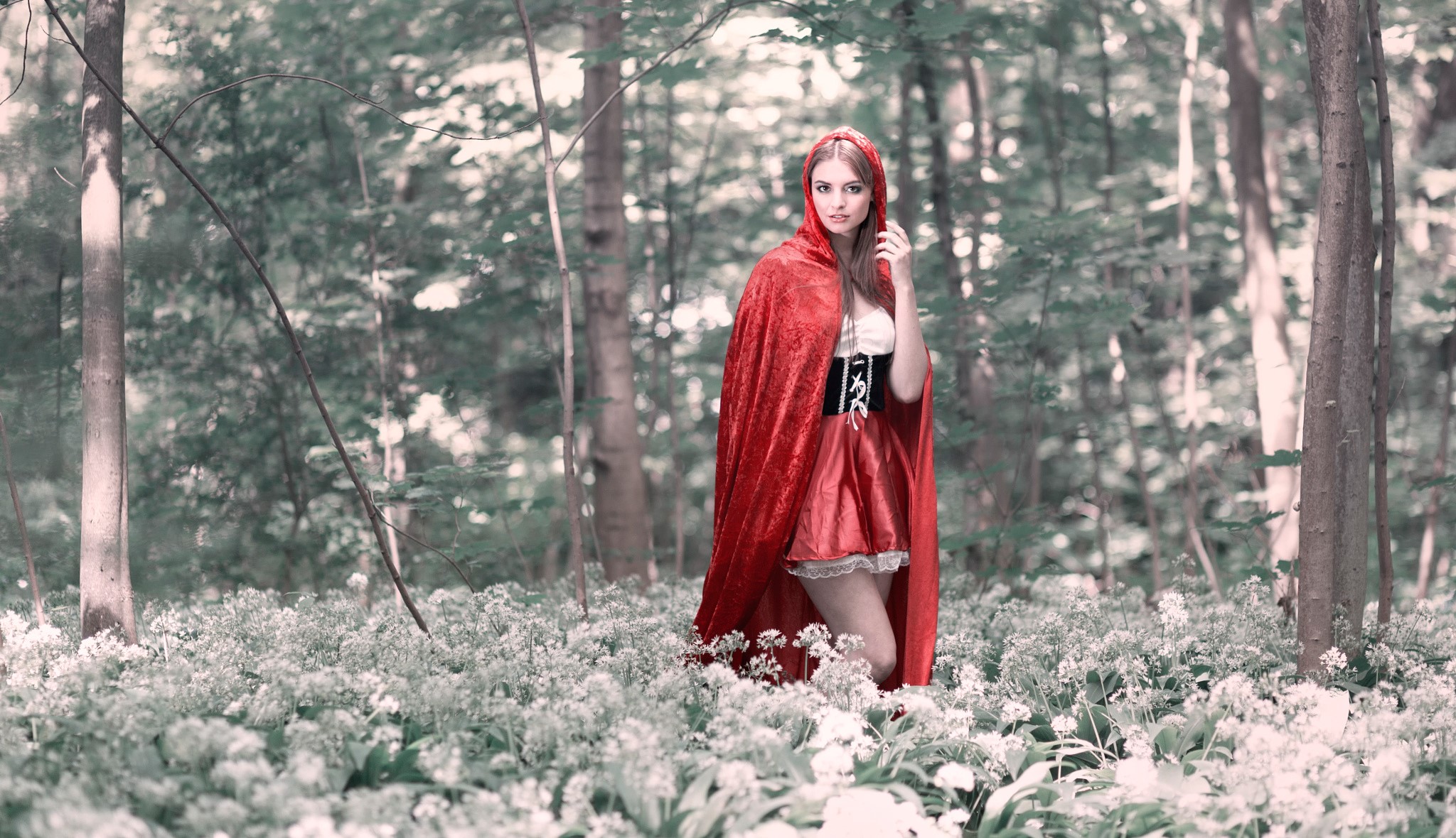 Woman in red cloak in forest HD Wallpaper