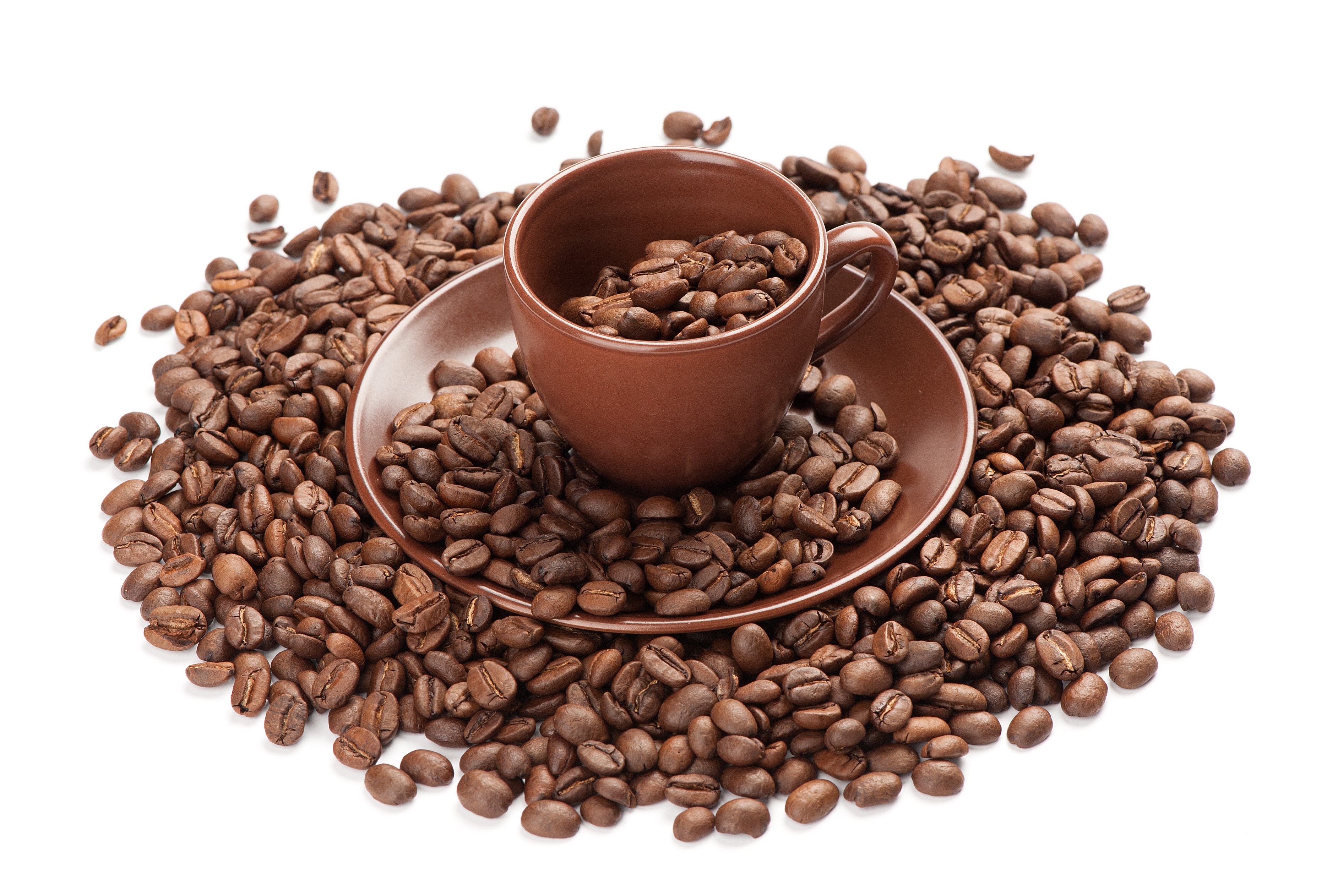Coffee beans in a brown cup and saucer HD Wallpaper