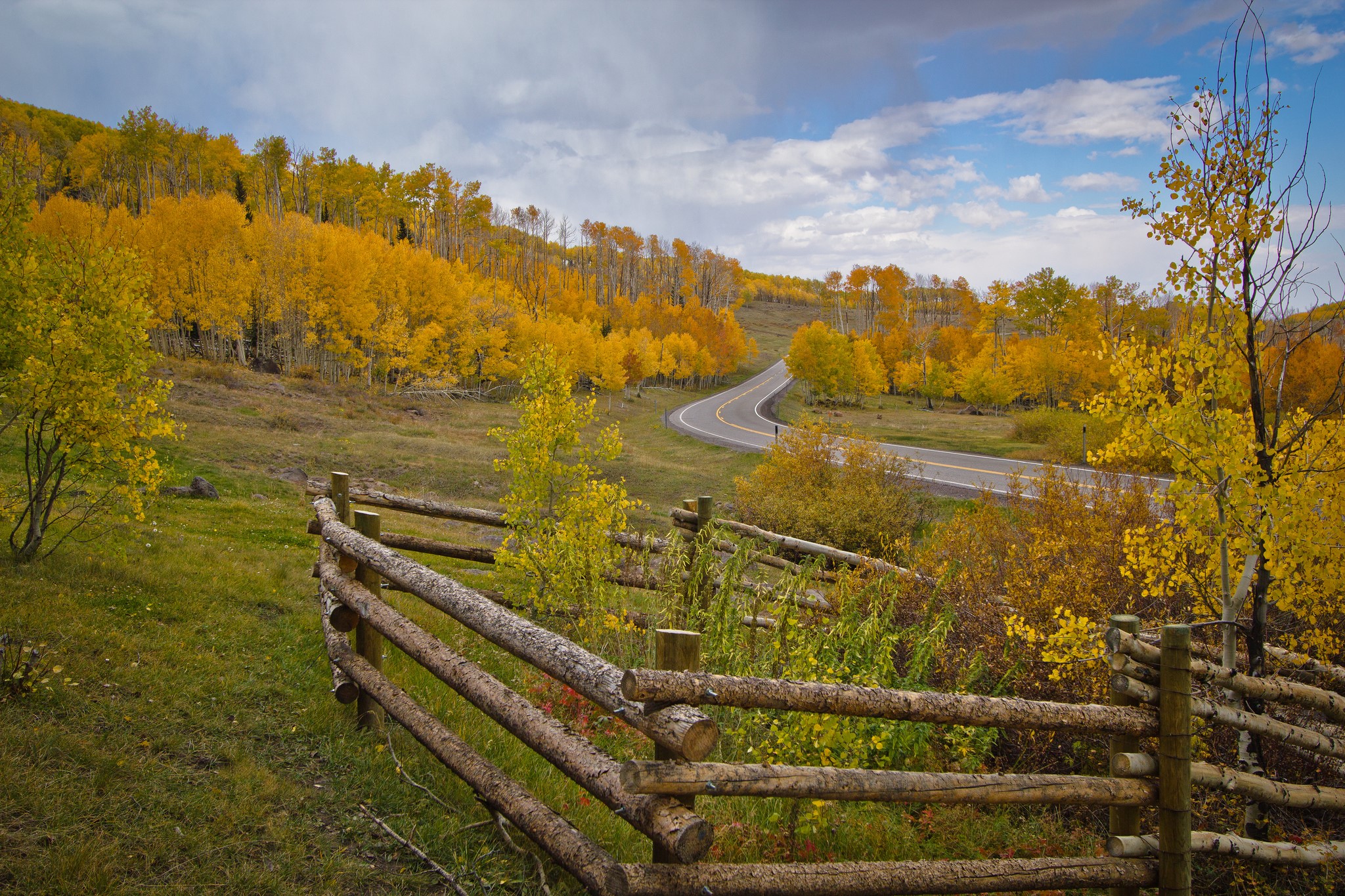 Autumn road through a forest with a wooden fence HD Wallpaper