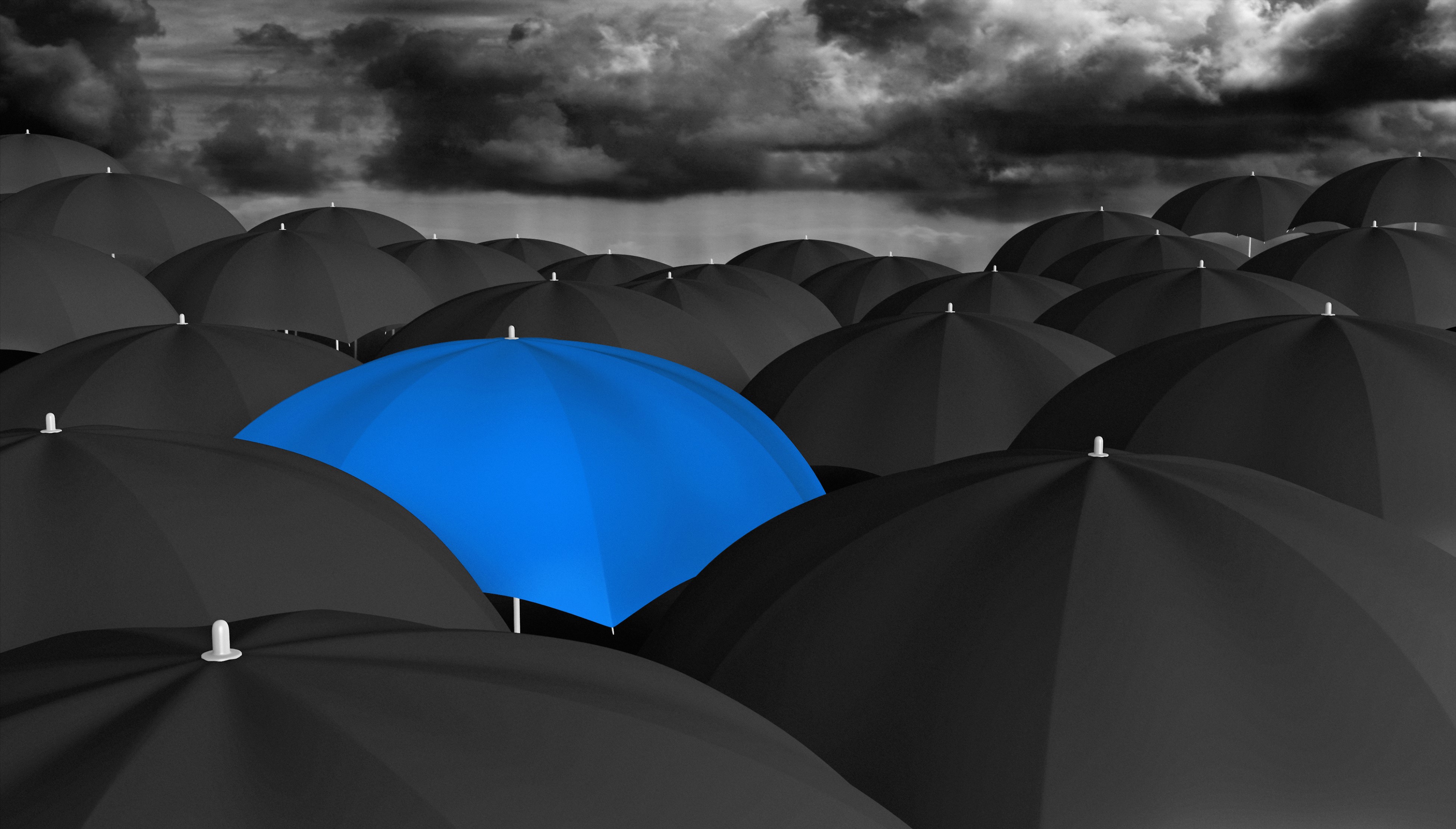 Blue umbrella among many black umbrellas HD Wallpaper
