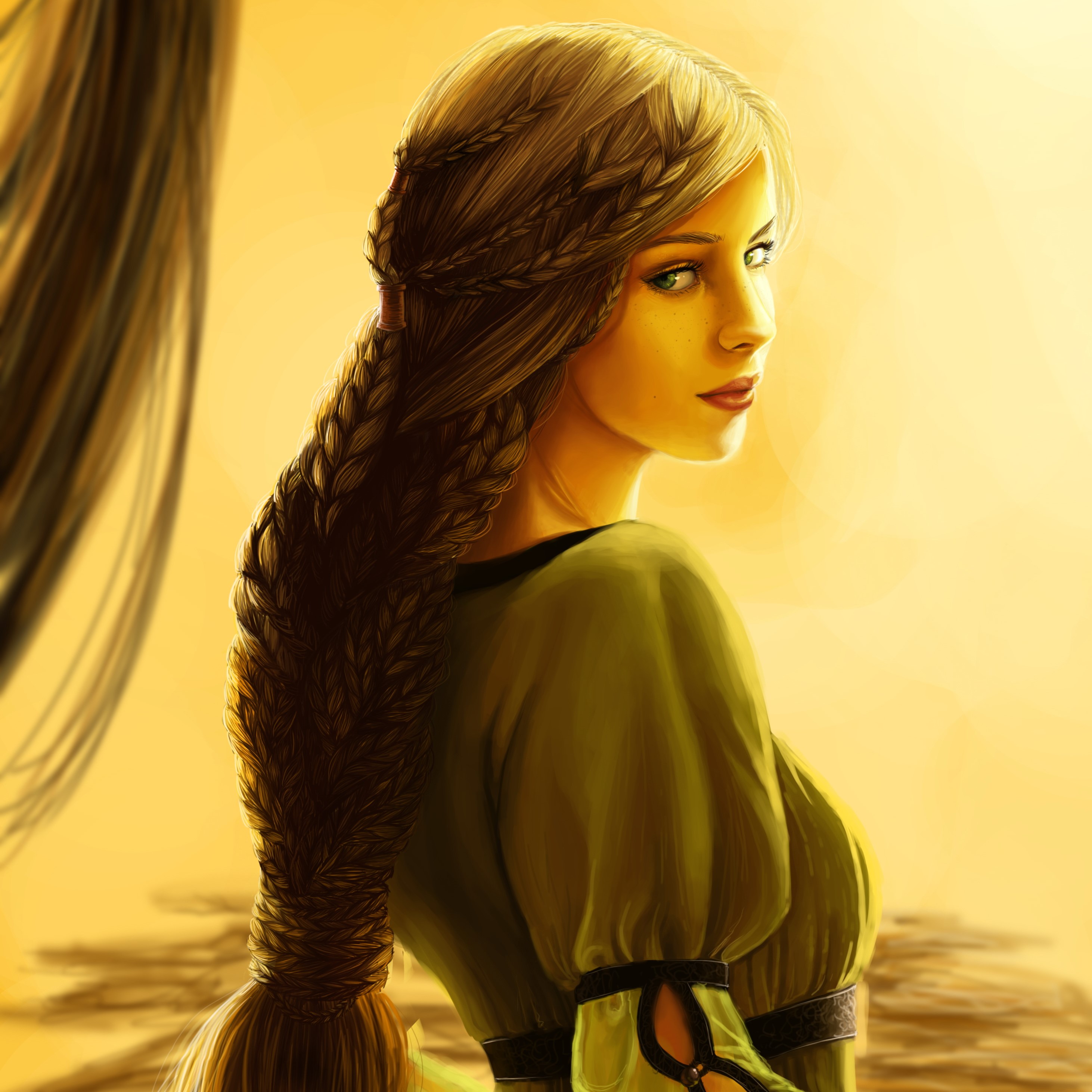 Woman with long braided brown hair in a green dress HD Wallpaper