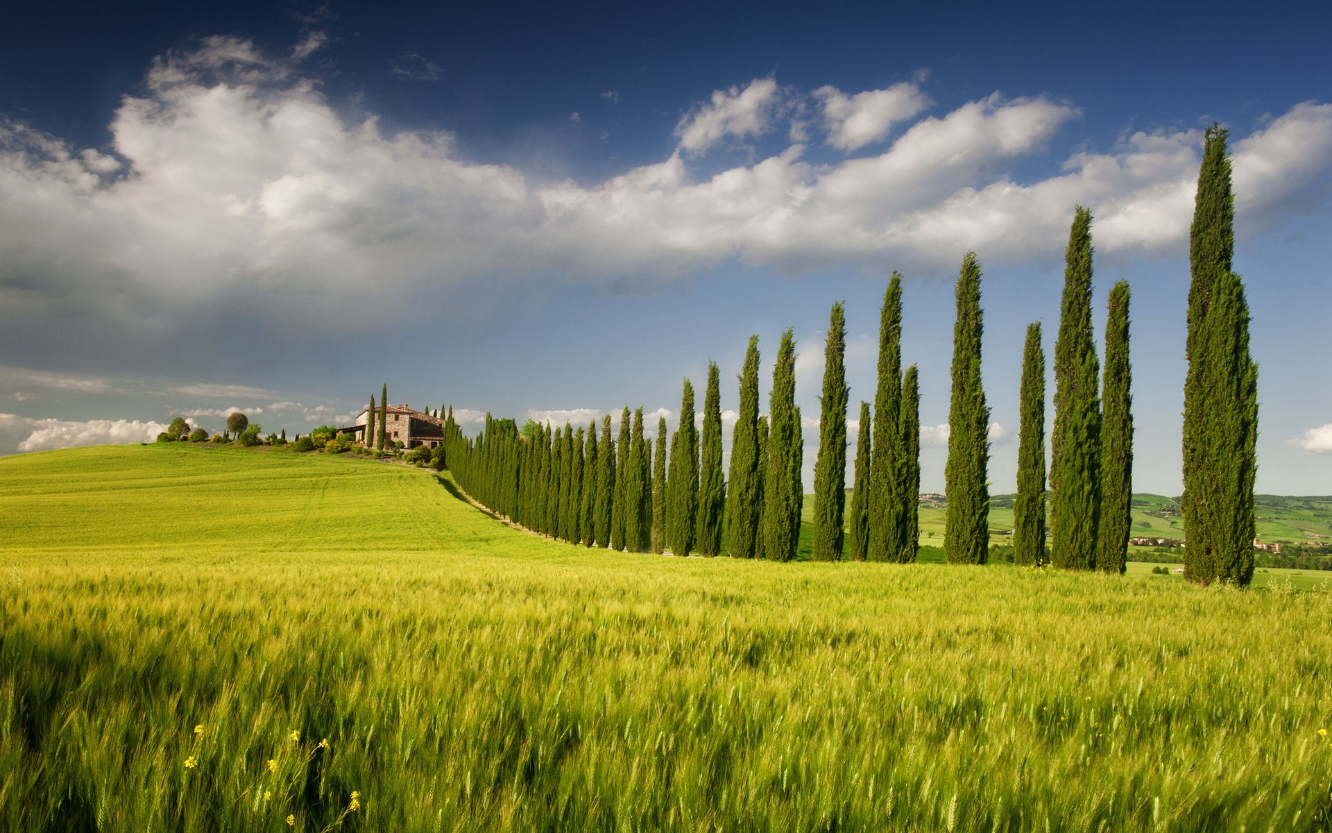 Tuscan landscape with cypress trees and farmhouse HD Wallpaper