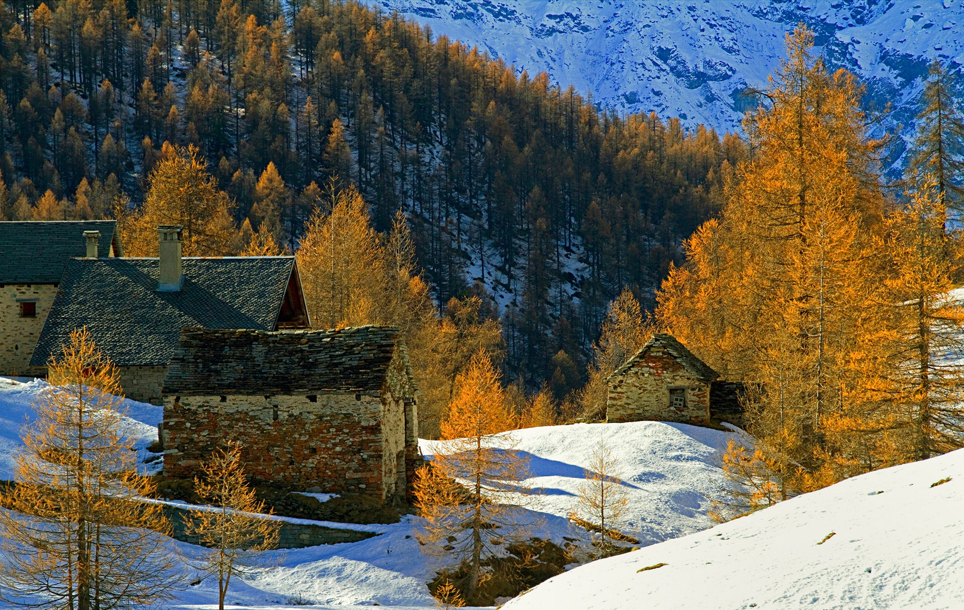 Autumn mountain village with snow and larch trees HD Wallpaper