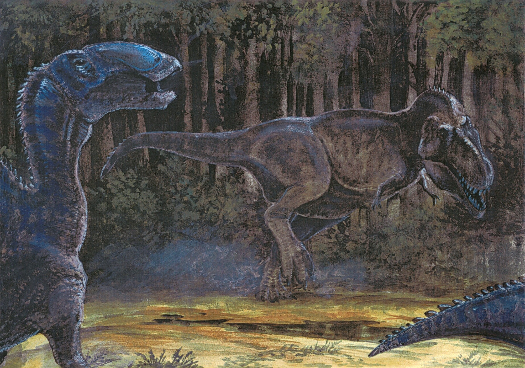 Tyrannosaurus Rex and other dinosaurs in a forest HD Wallpaper