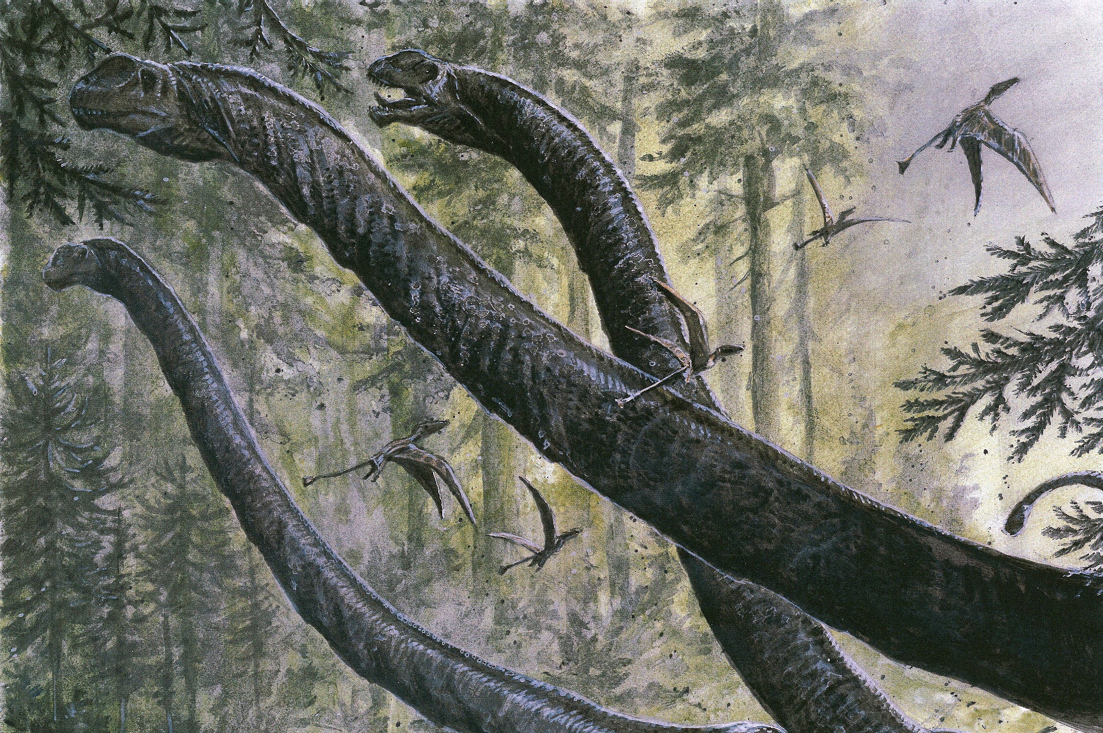 Long-necked dinosaurs and pterosaurs in a forest HD Wallpaper