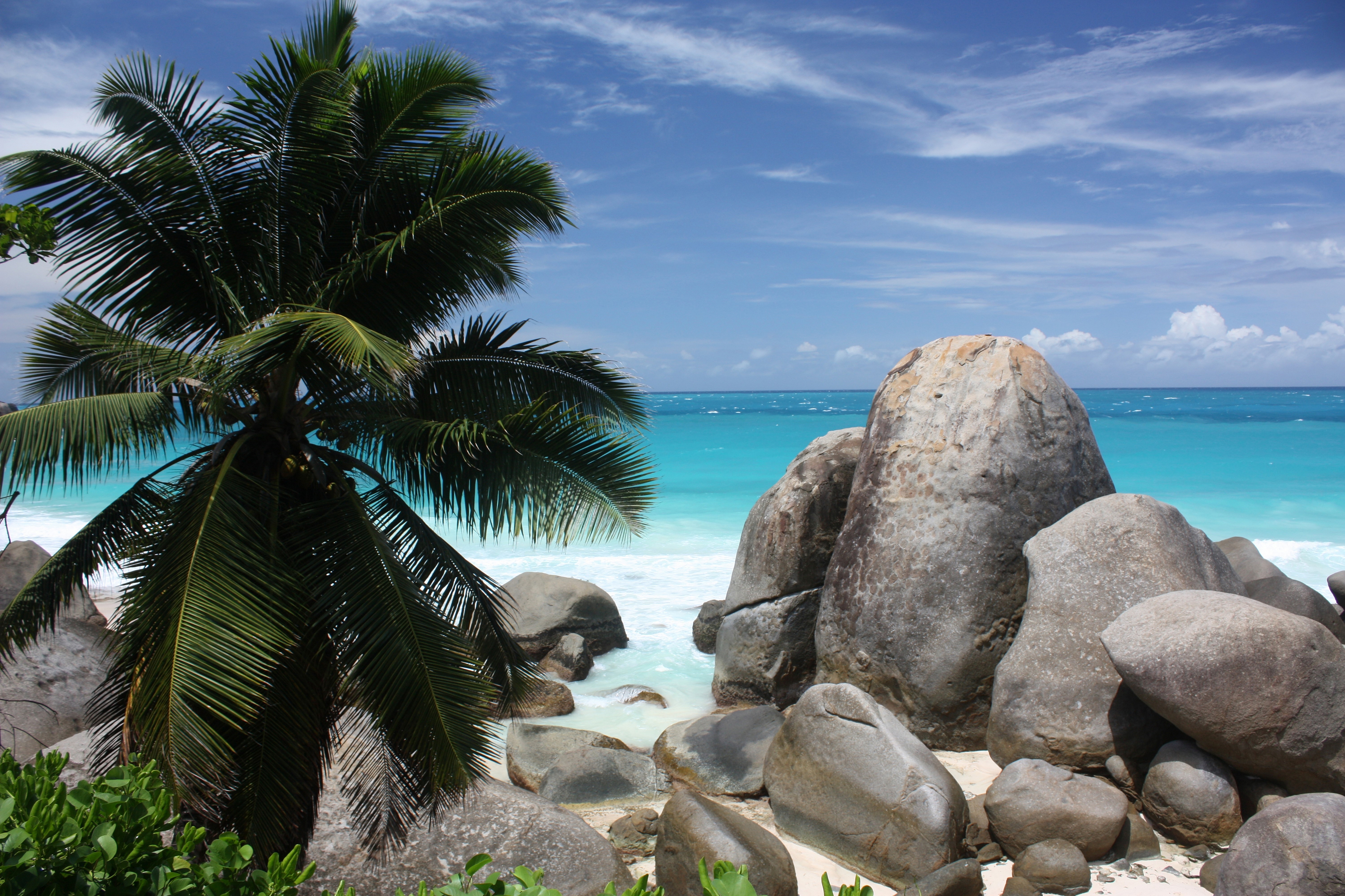 Beach with Palm Trees and Large Rocks HD Wallpaper