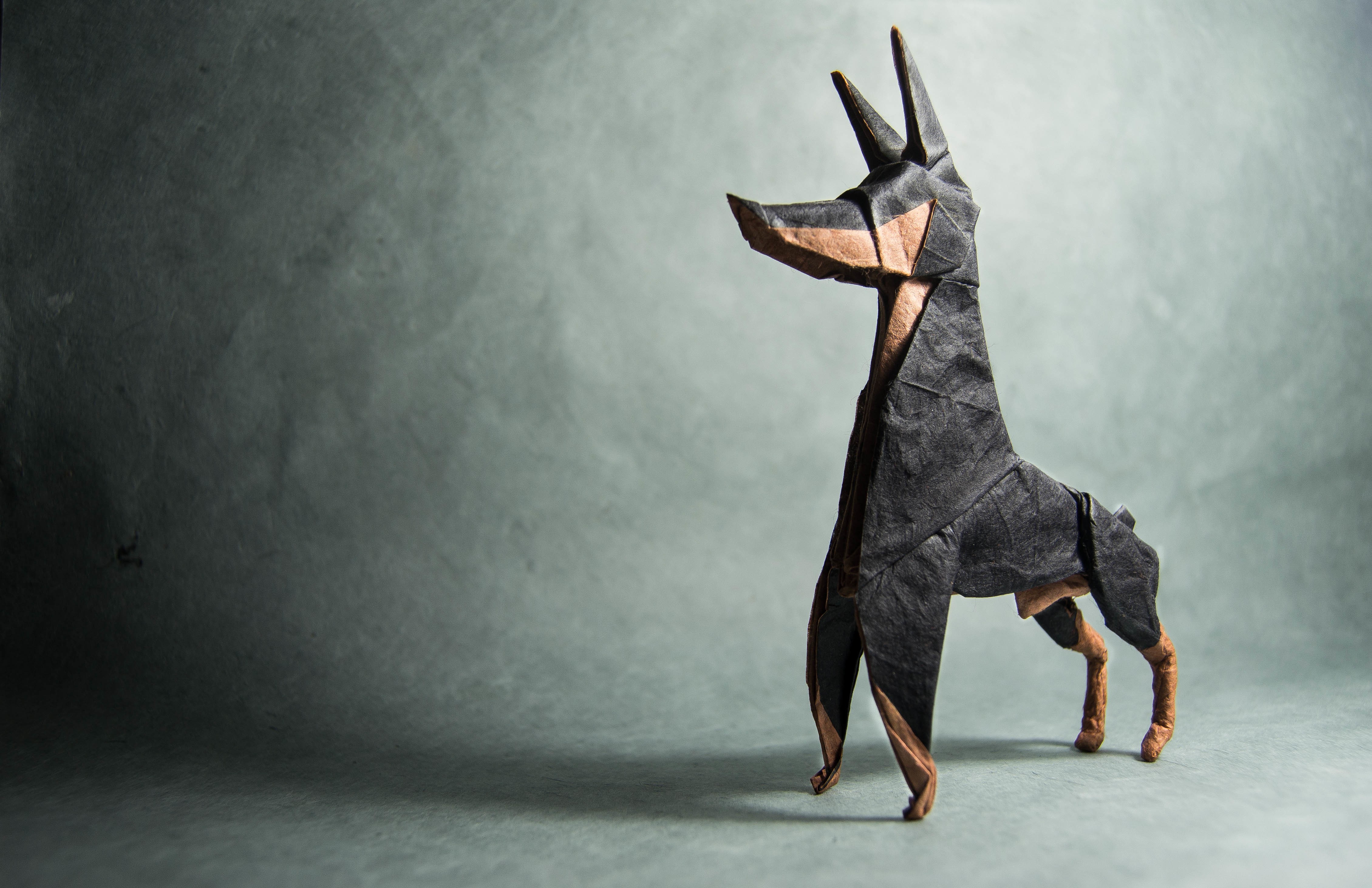 Origami Doberman Pinscher on a textured background HD Wallpaper