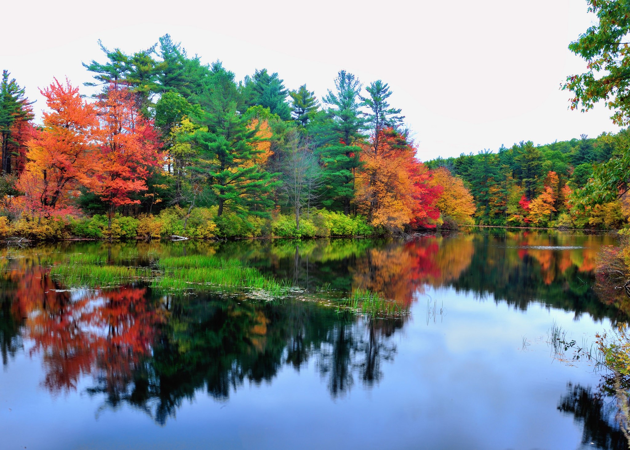 Autumn forest reflected in a lake HD Wallpaper