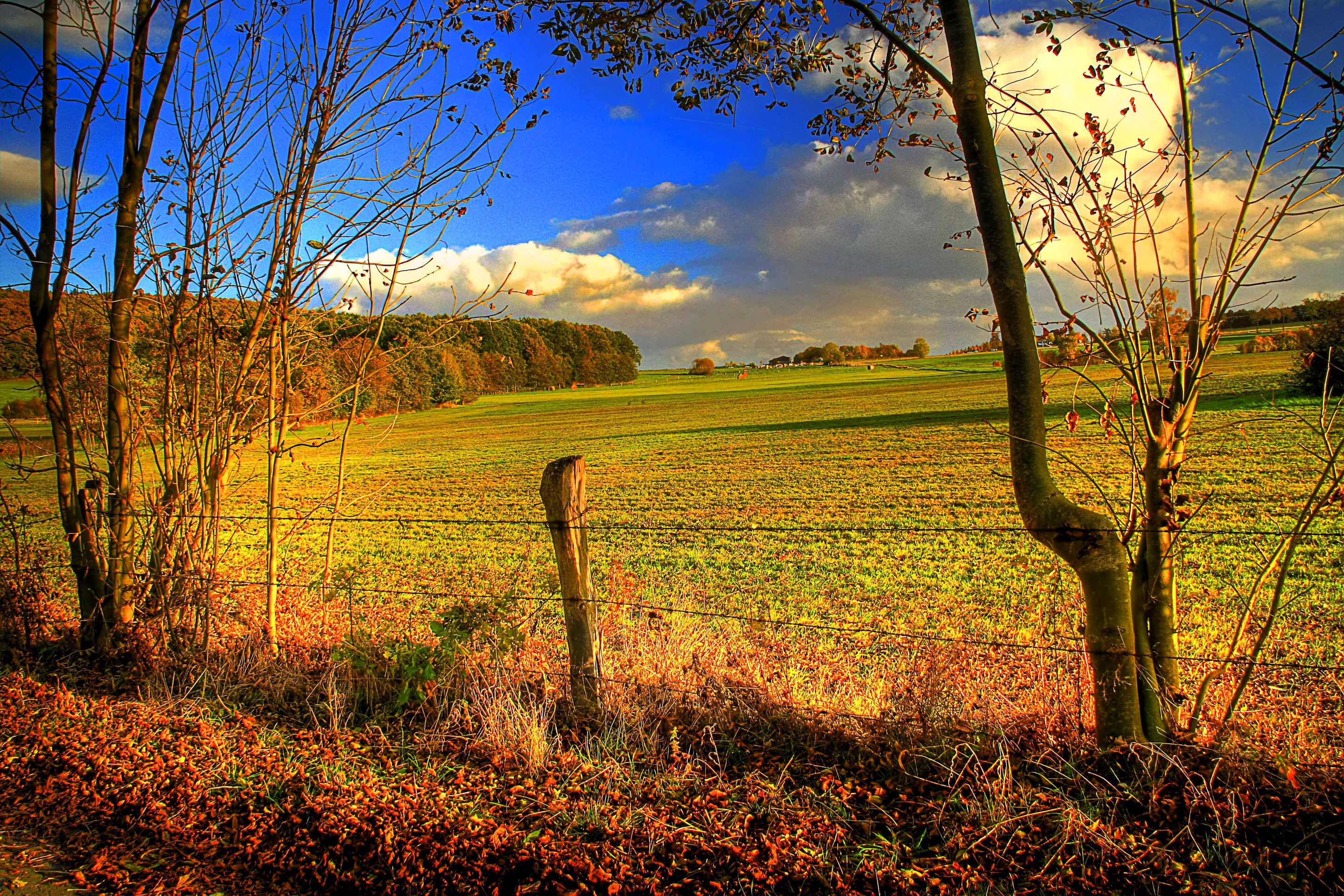 Autumn Field with Fence and Trees HD Wallpaper
