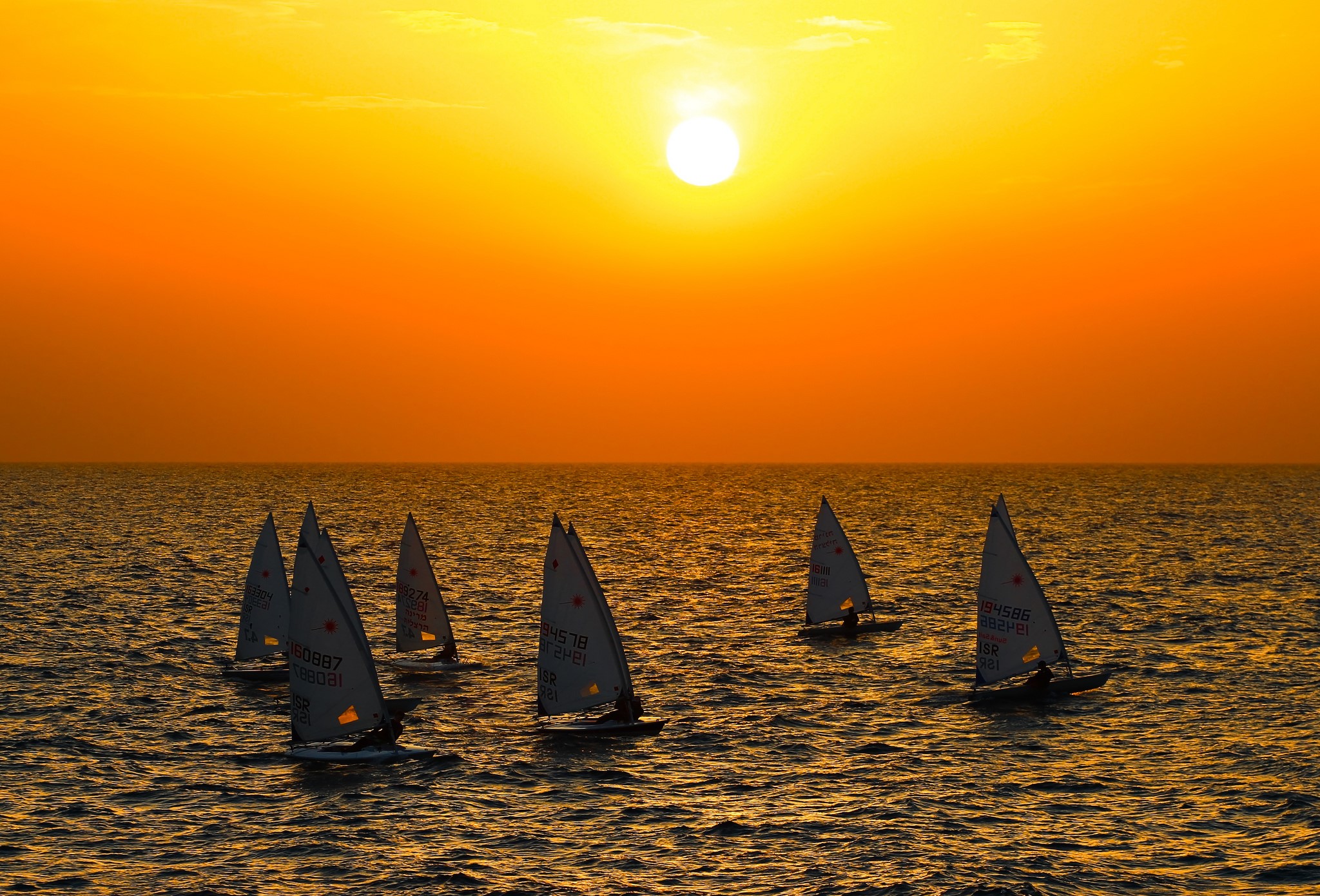 Sailboats racing at sunset on the sea HD Wallpaper