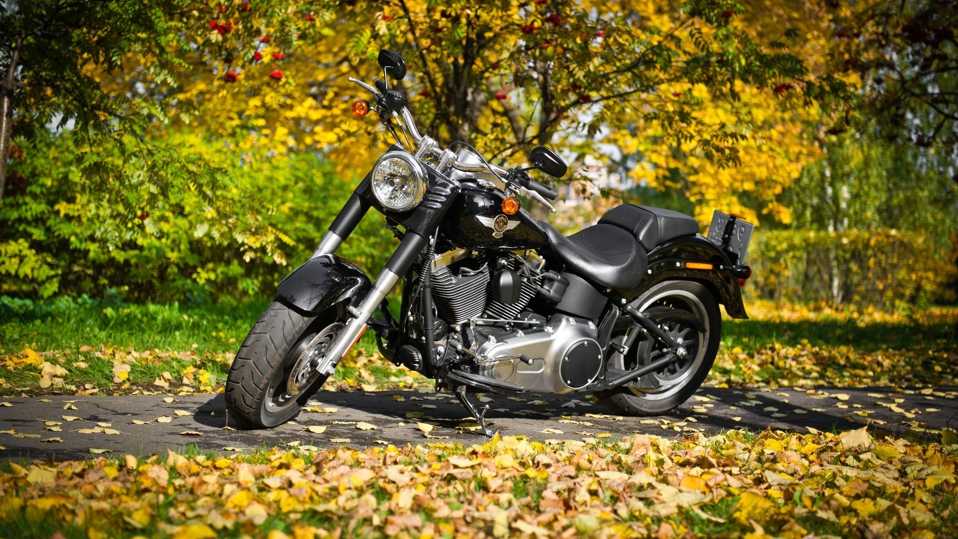 Black Harley-Davidson motorcycle in autumn foliage HD Wallpaper