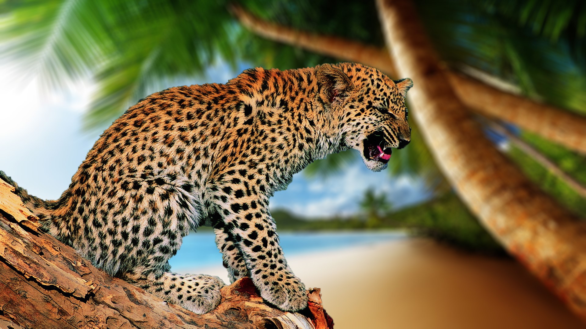 Leopard roaring on a tree branch with palm trees HD Wallpaper