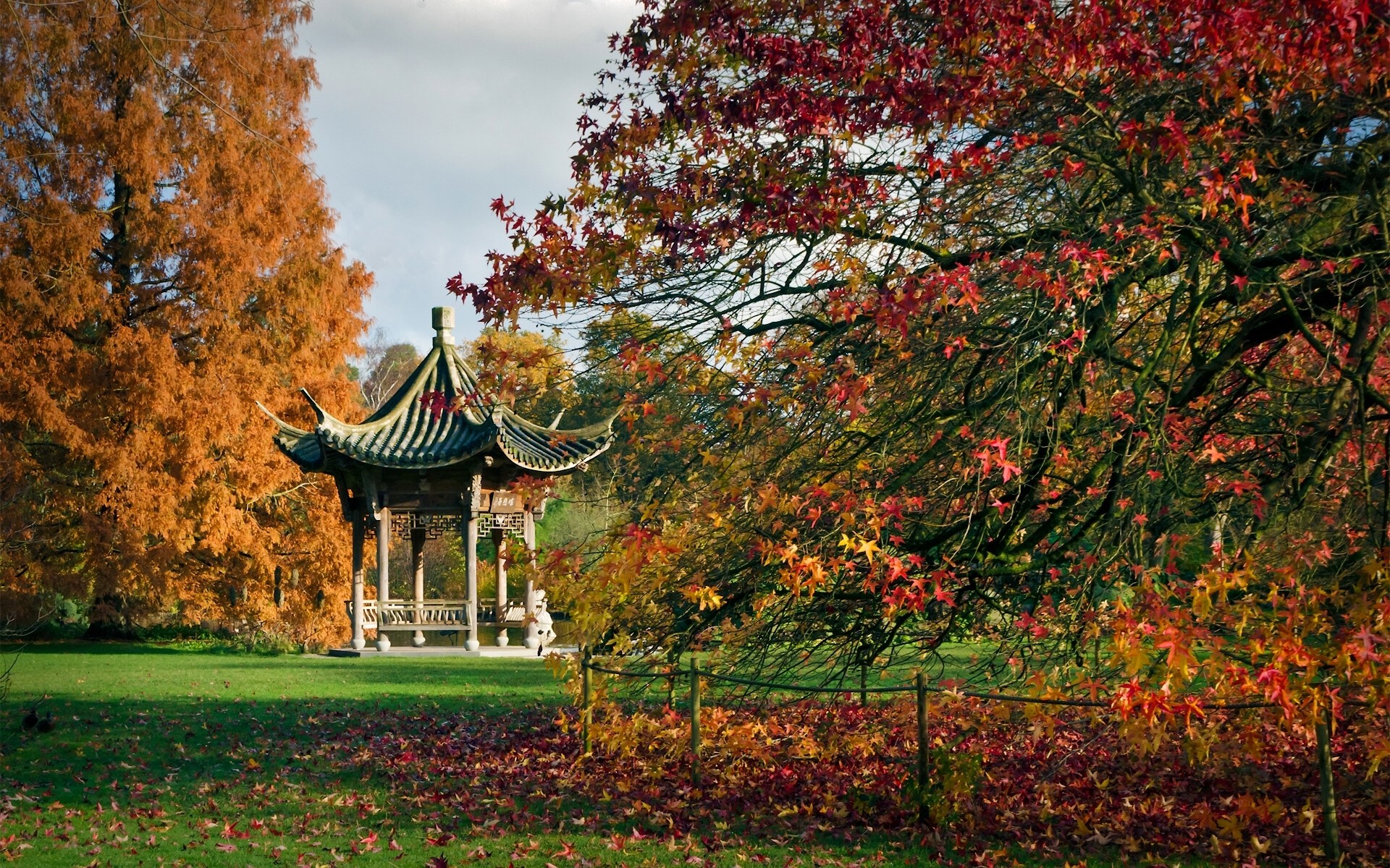 Chinese Pagoda in RHS Garden Wisley during Autumn HD Wallpaper