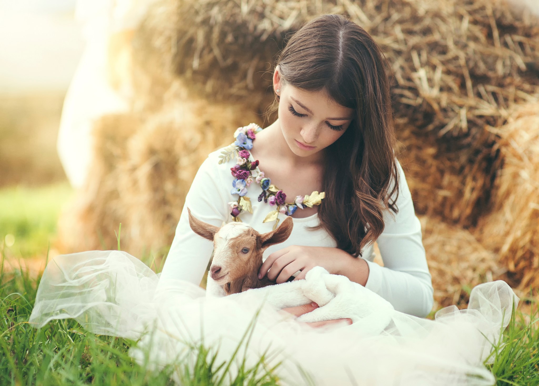 Girl holding a baby goat near hay bales HD Wallpaper