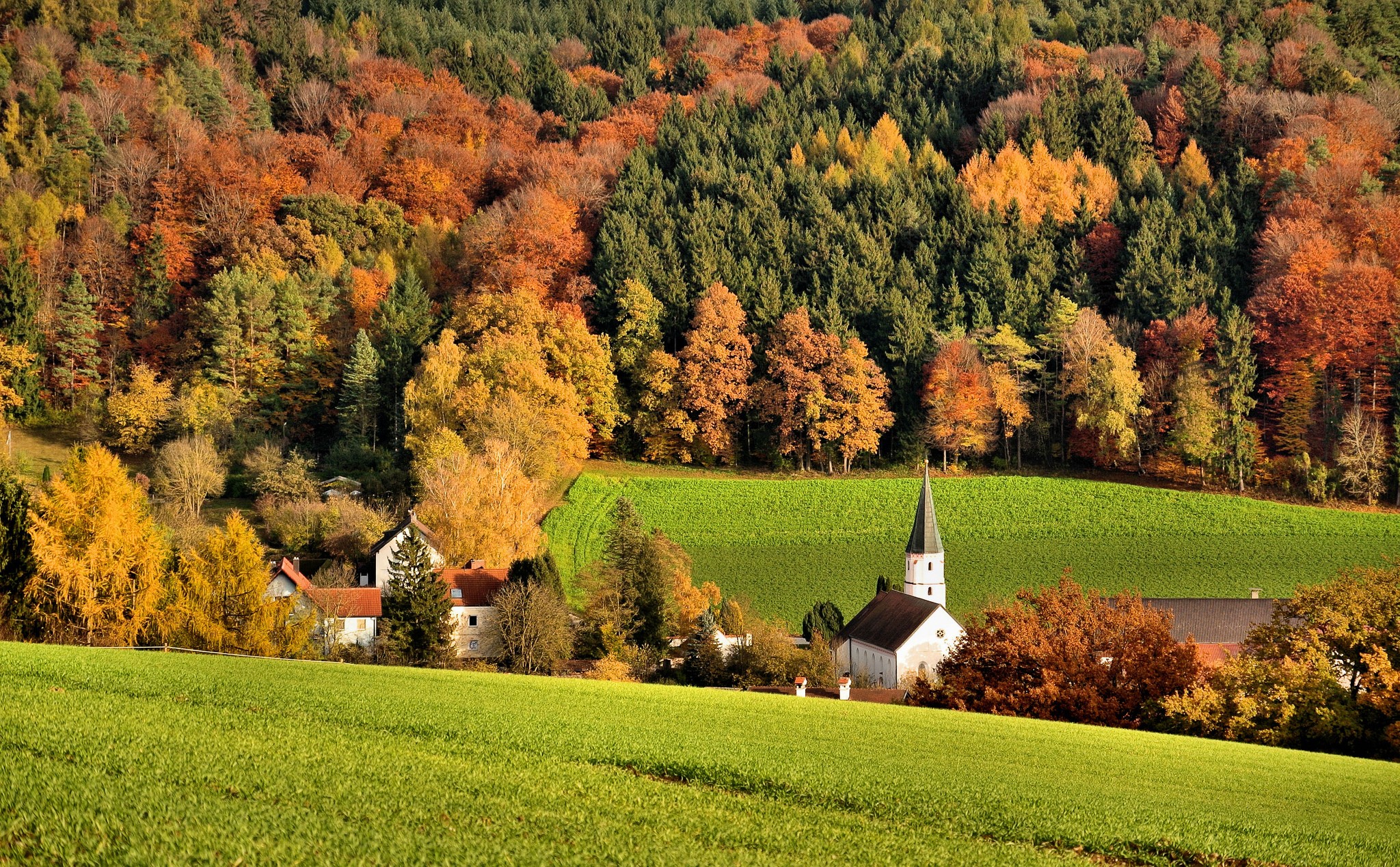 Autumn forest with village and church HD Wallpaper