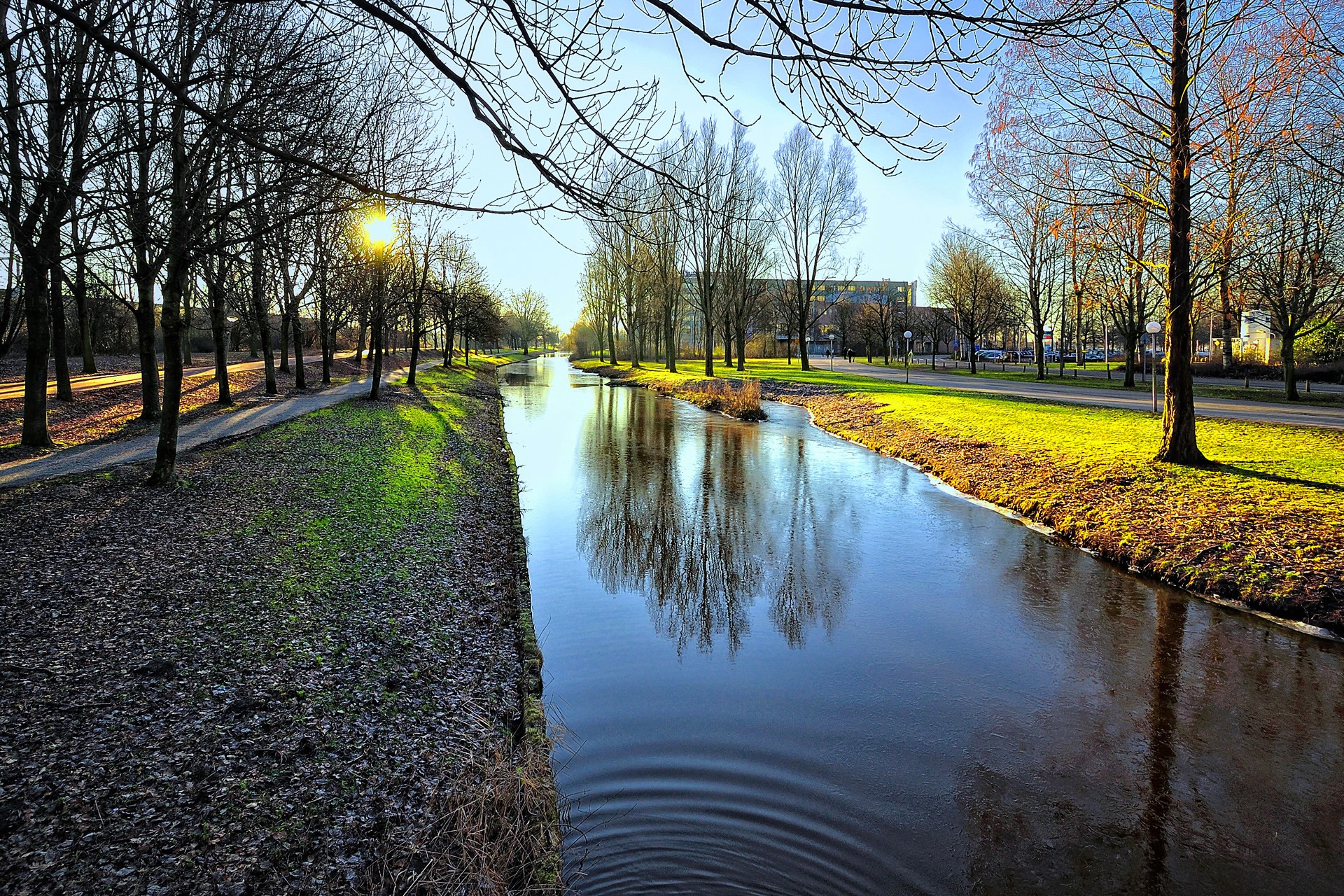 Canal in a park with trees and reflections HD Wallpaper