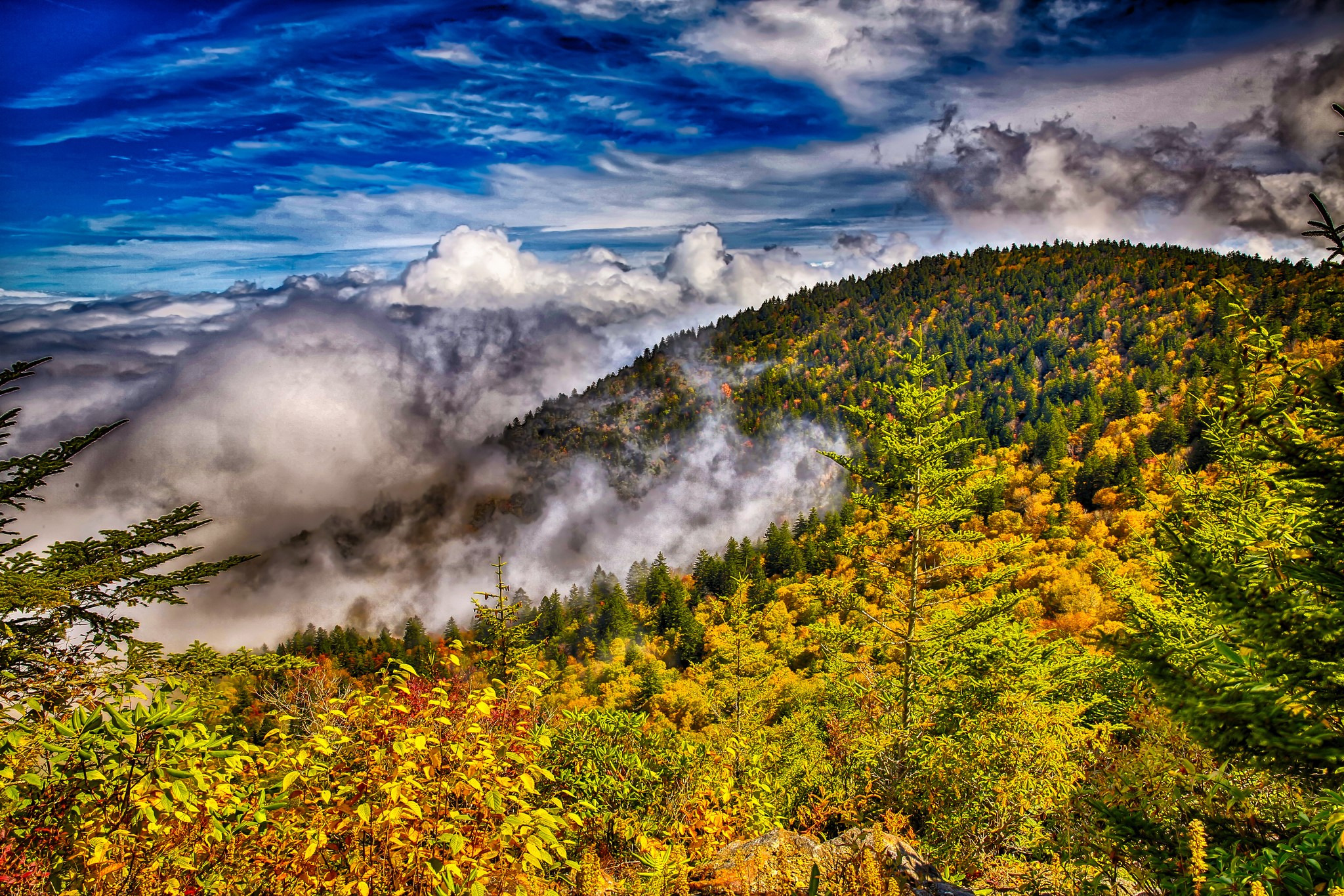 Mountains covered in autumn forest with clouds and blue sky HD Wallpaper