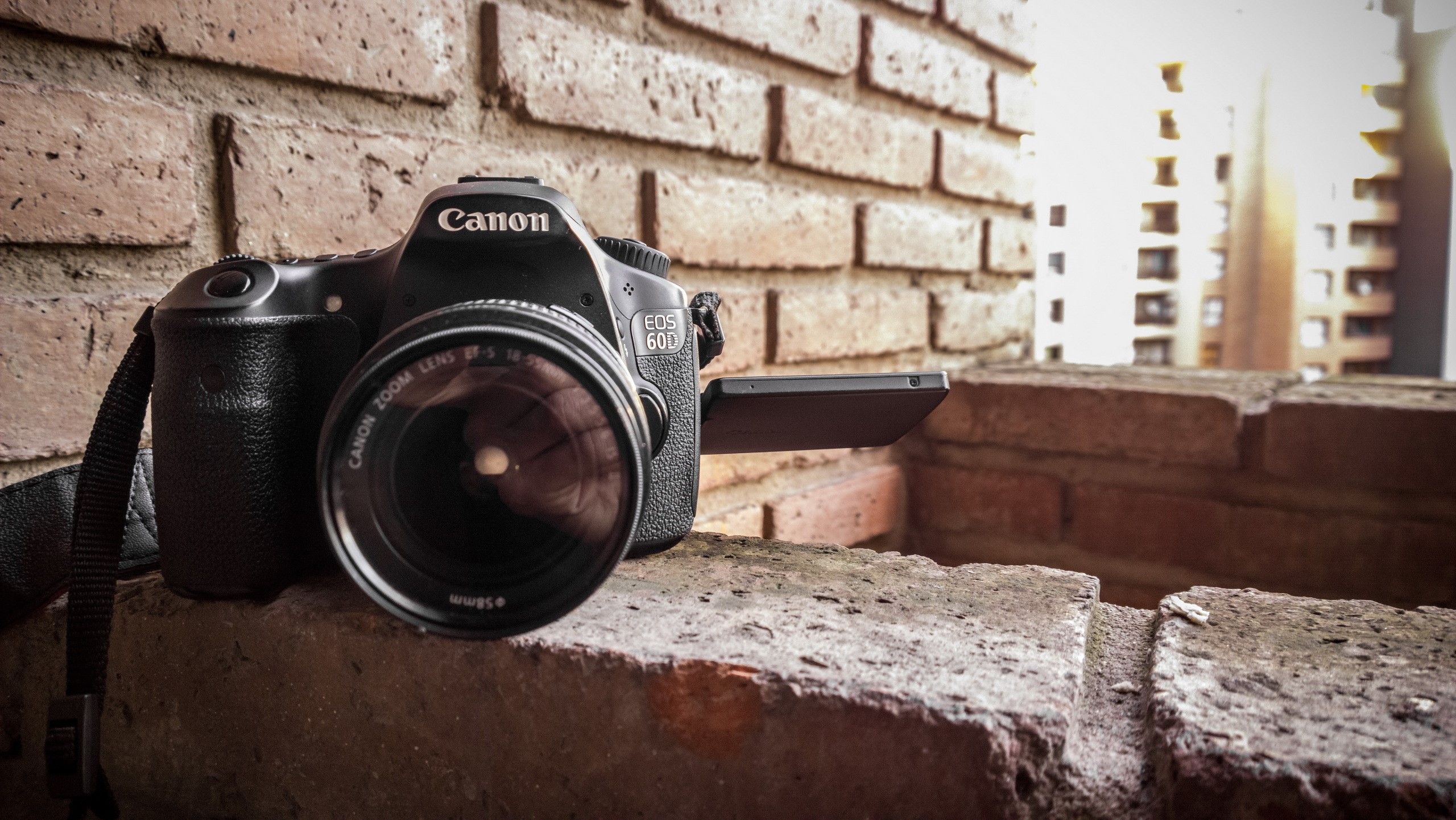 Canon EOS 60D DSLR camera on a brick wall HD Wallpaper