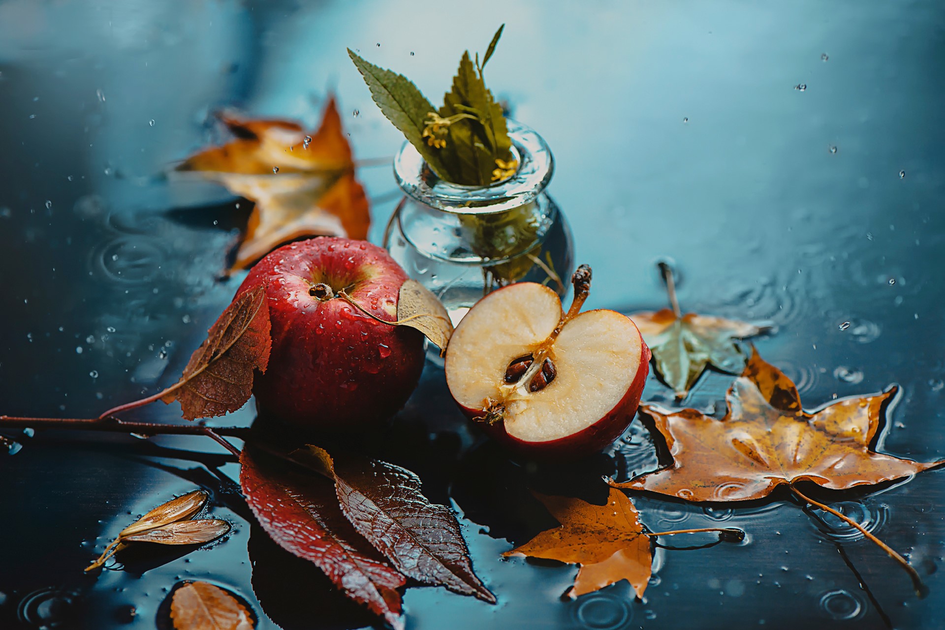 Red apples and autumn leaves in water HD Wallpaper