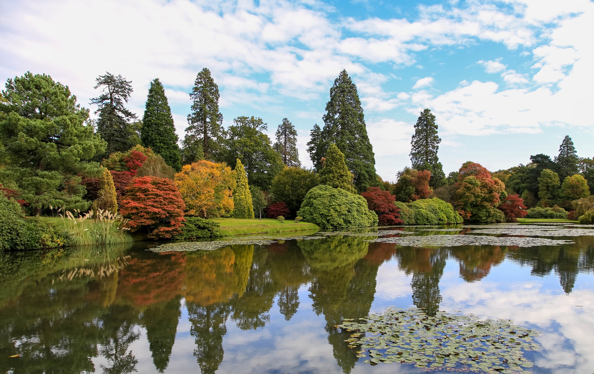 Autumn trees reflected in a pond in a park HD Wallpaper