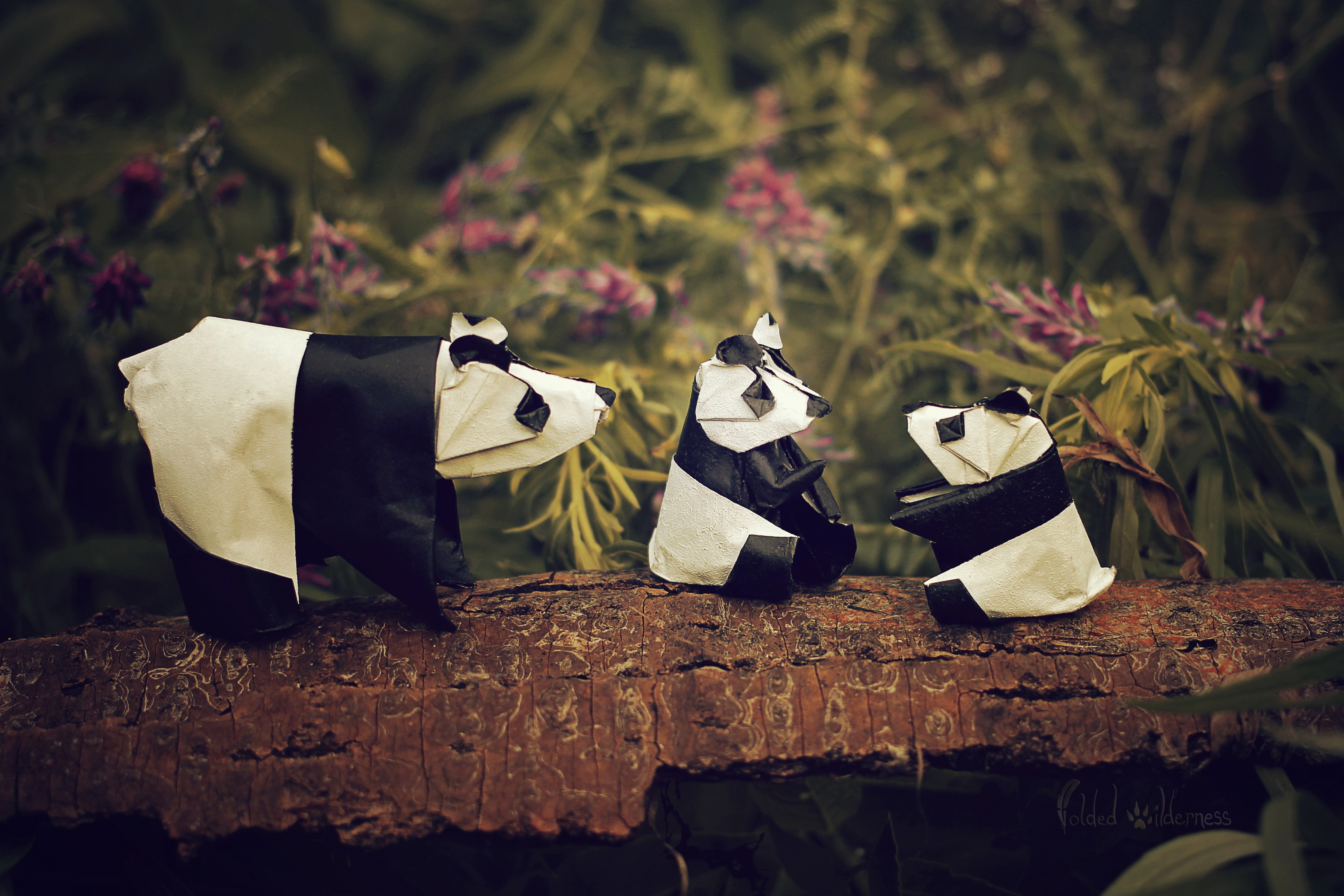 Three Origami Pandas on a Log HD Wallpaper