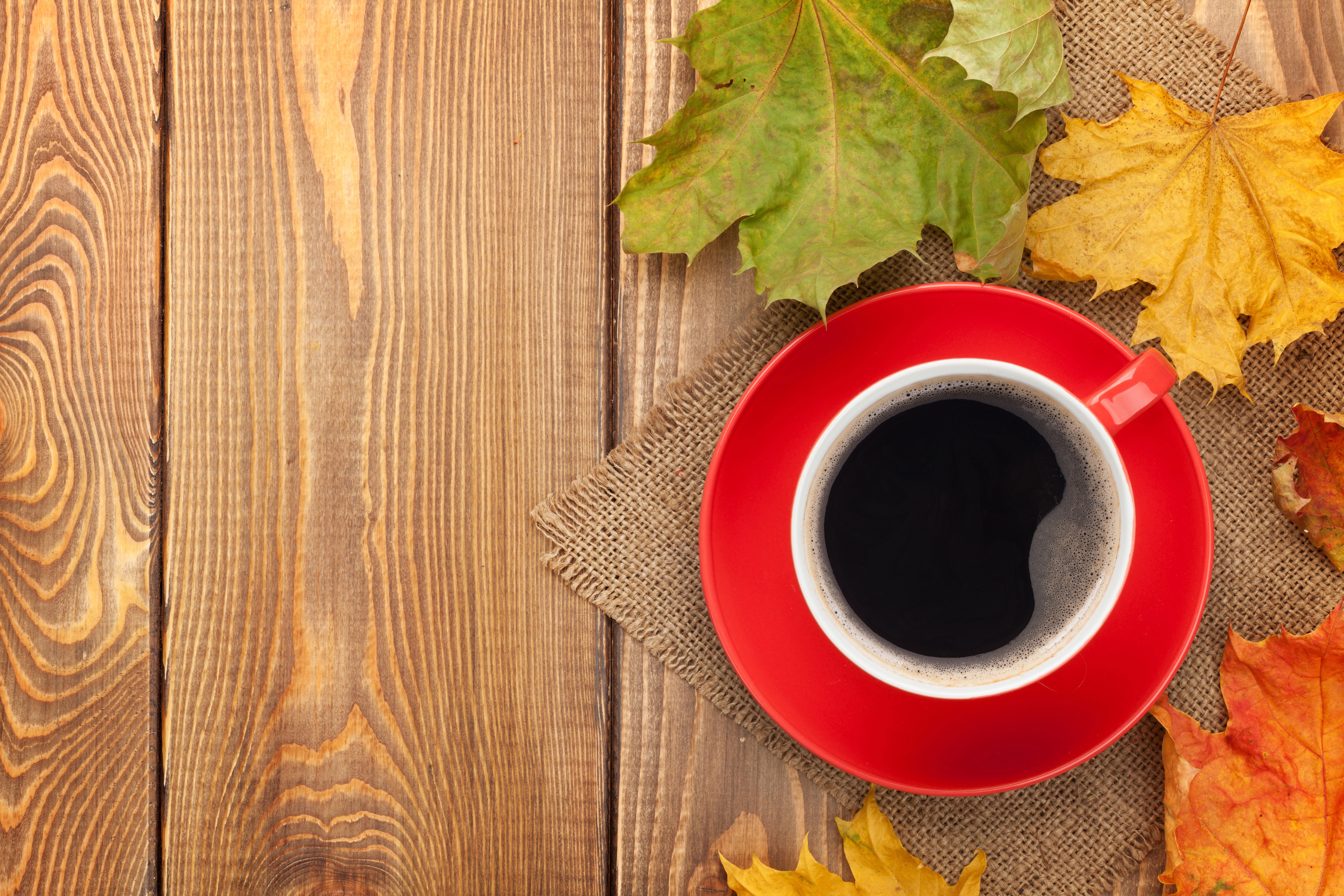 Coffee cup with maple leaves on wooden table HD Wallpaper