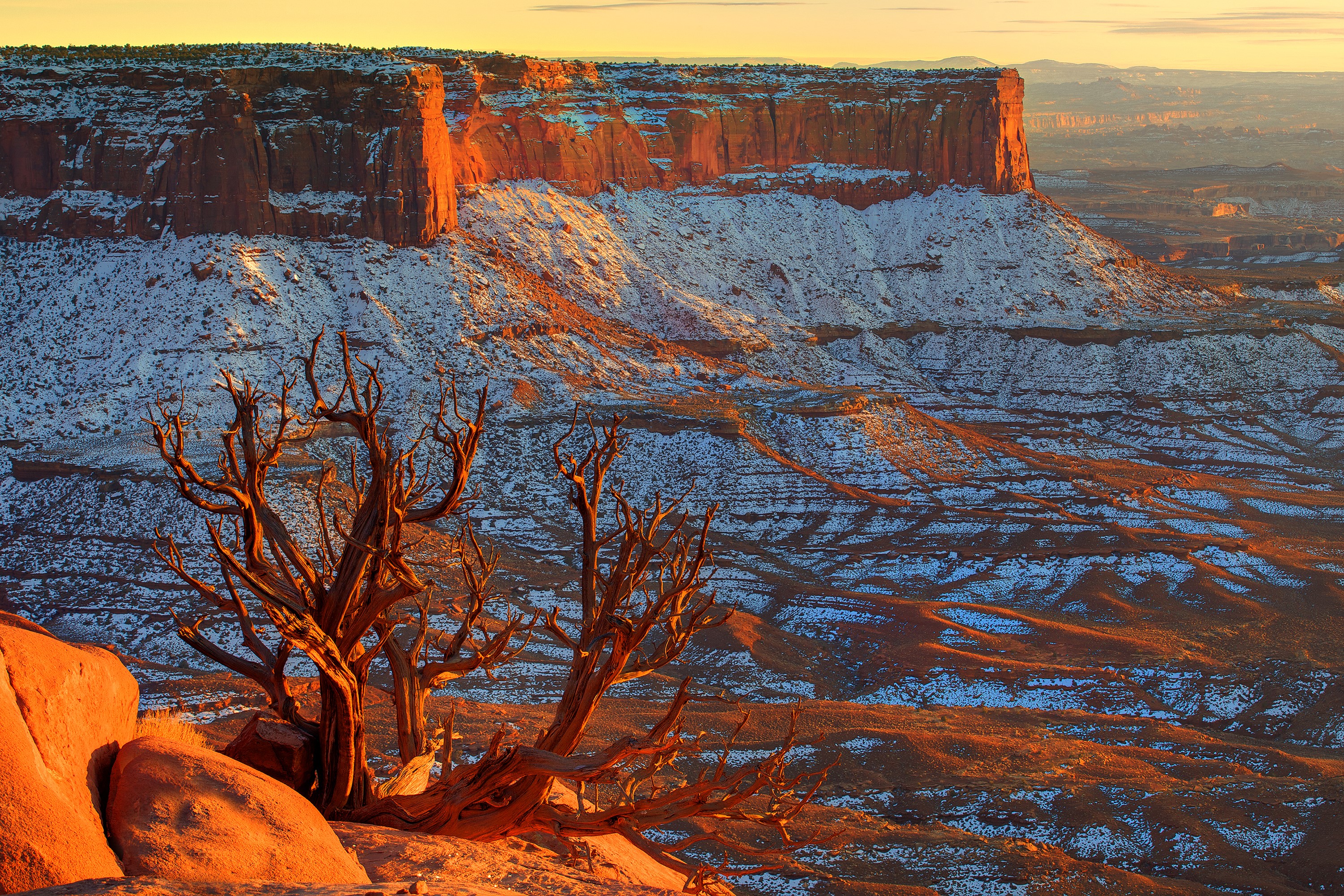 Canyonlands National Park, Utah, USA with snow and trees HD Wallpaper