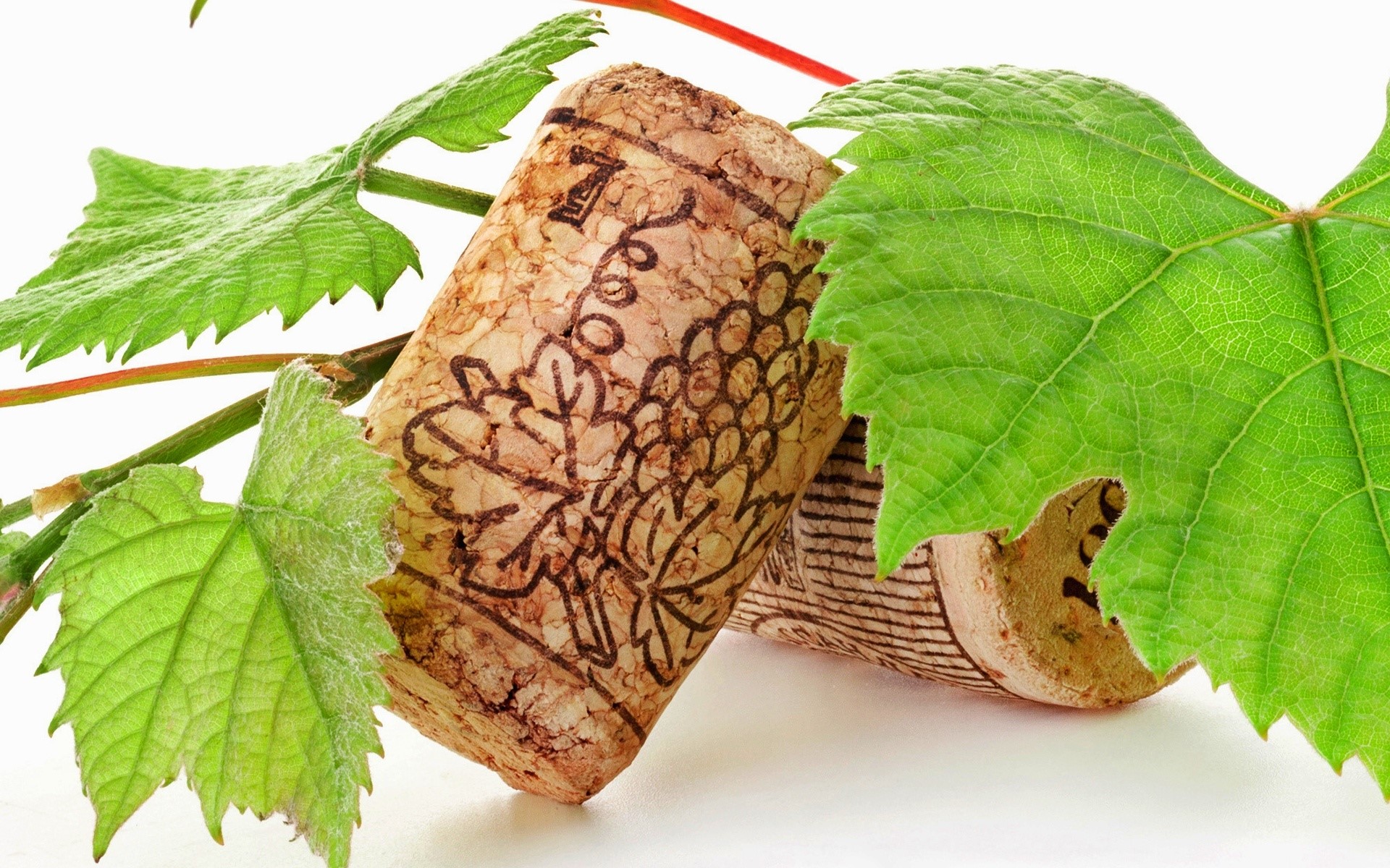 Wine corks with grape vine leaves HD Wallpaper